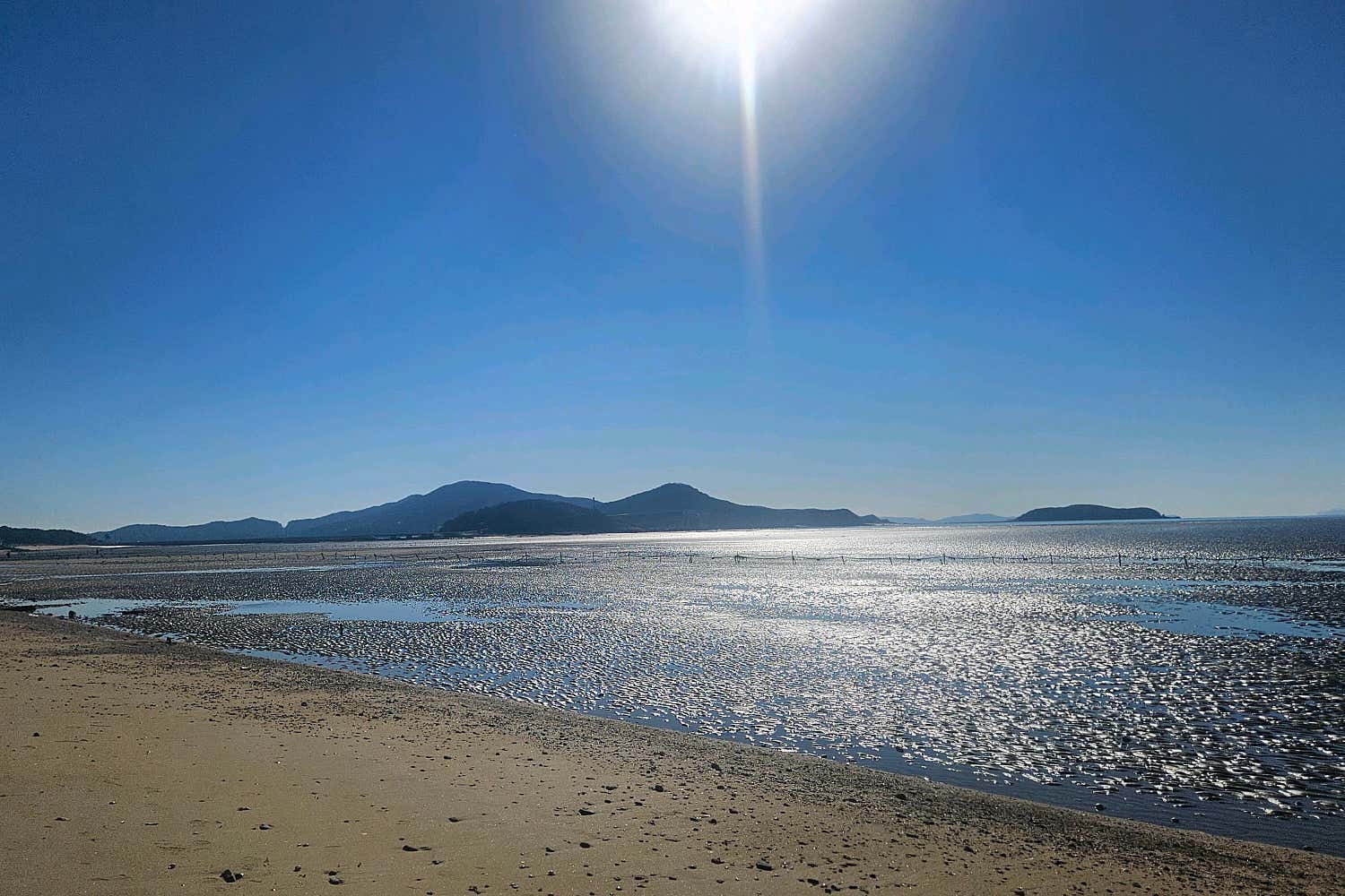 접시에 담긴 연탄식빵