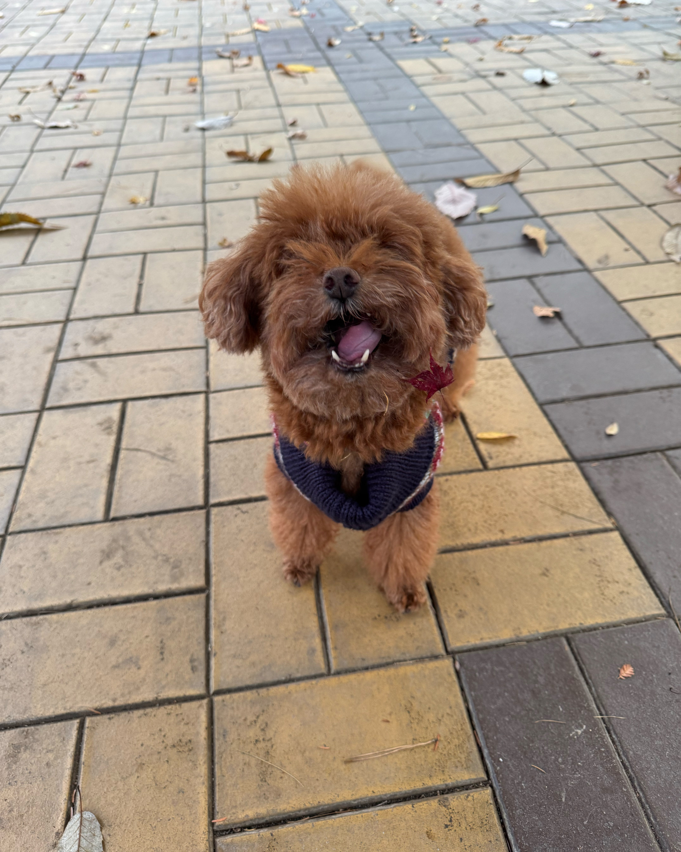 리뷰 사진 1