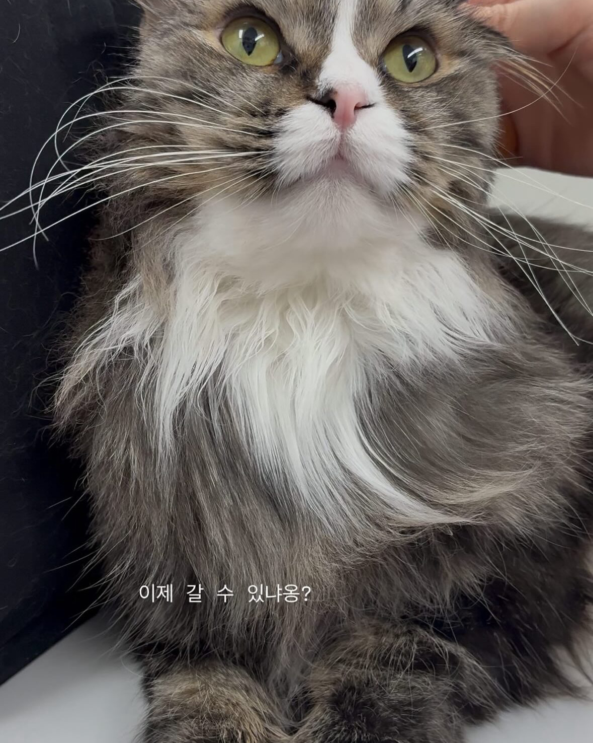 리뷰 사진 2