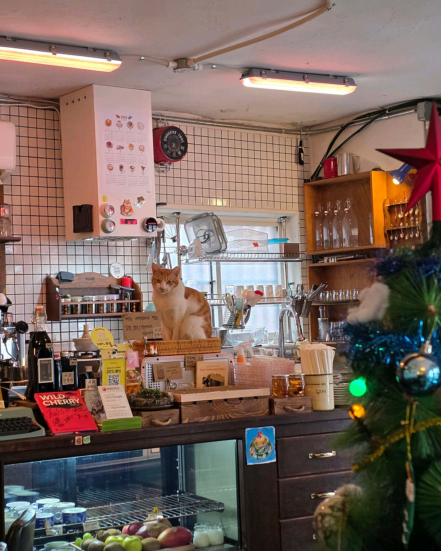 커피문화사 수유 카운터와 내부 전경