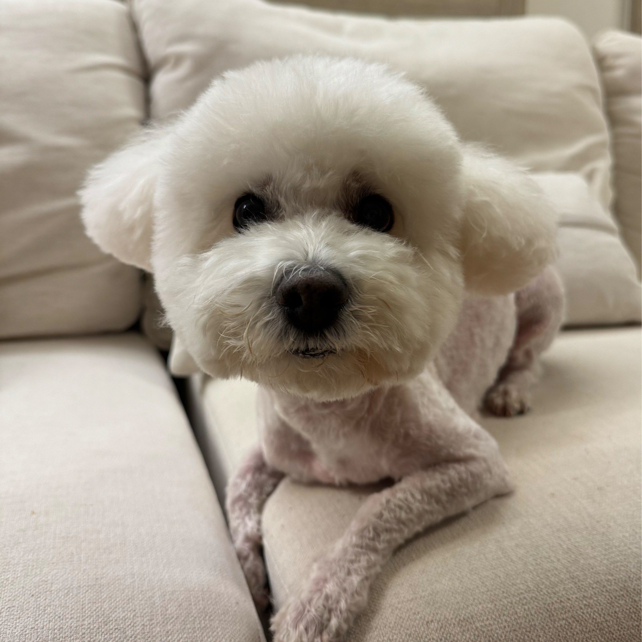 리뷰 사진 1