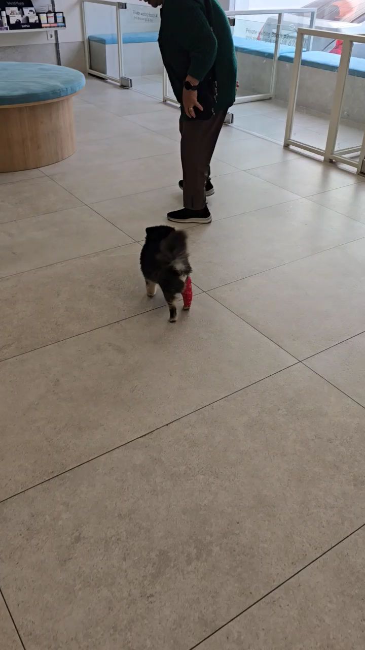 리뷰 사진 2