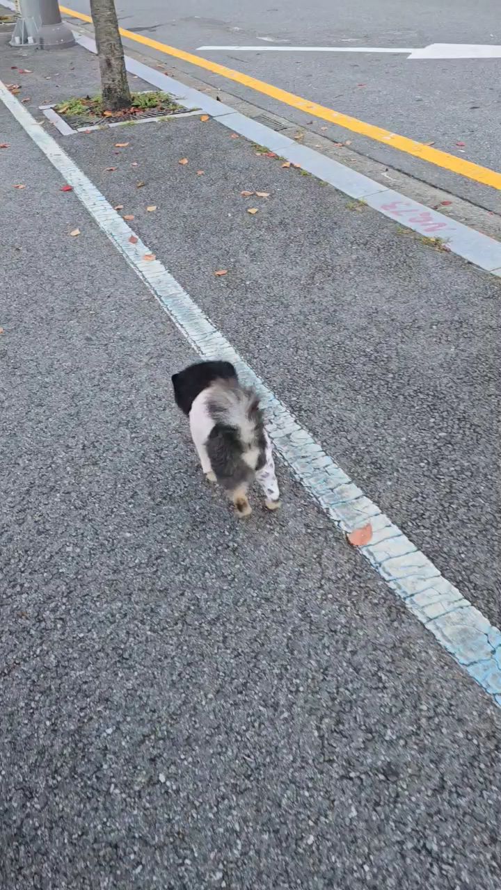 리뷰 사진 3
