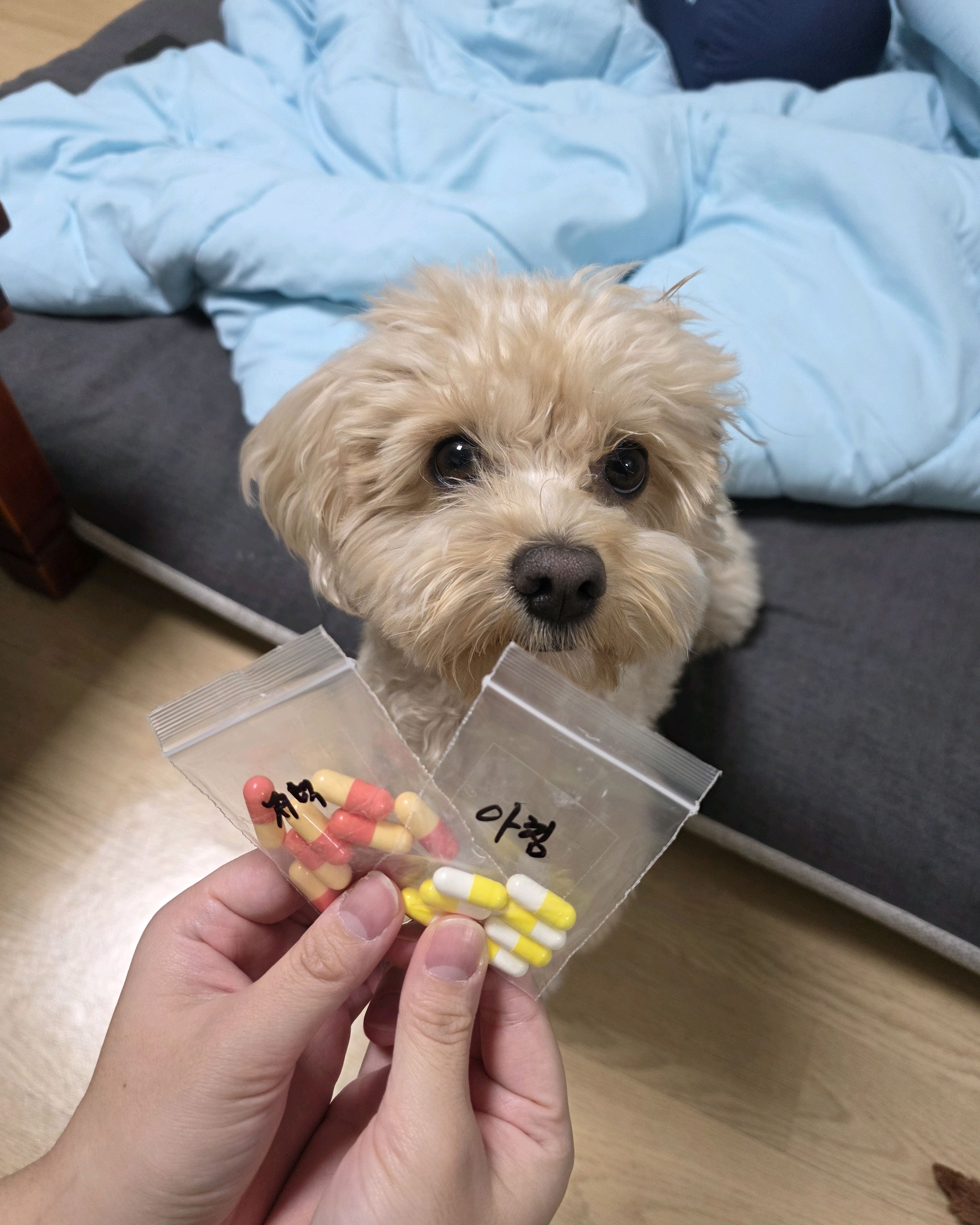 리뷰 사진 1