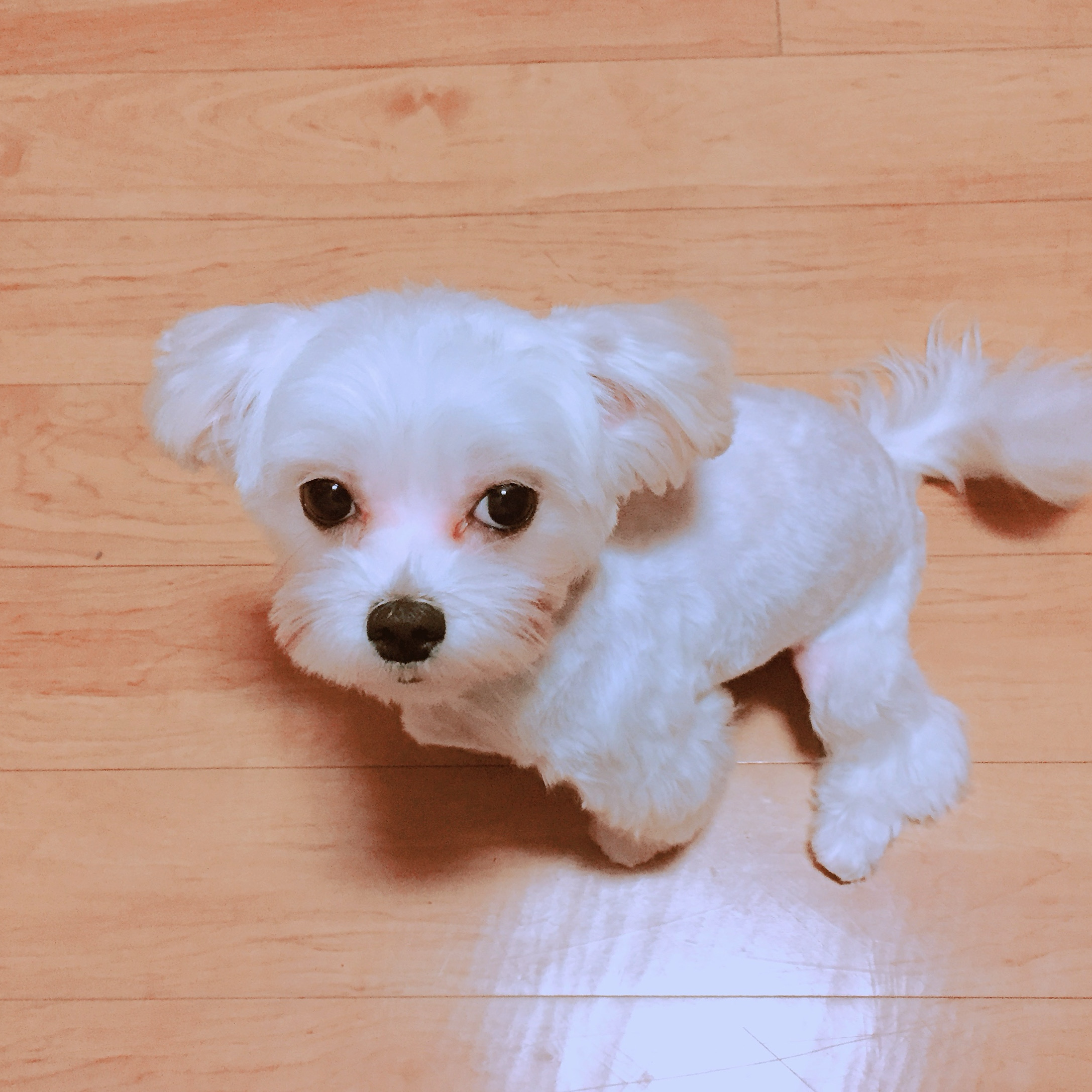 리뷰 사진 1