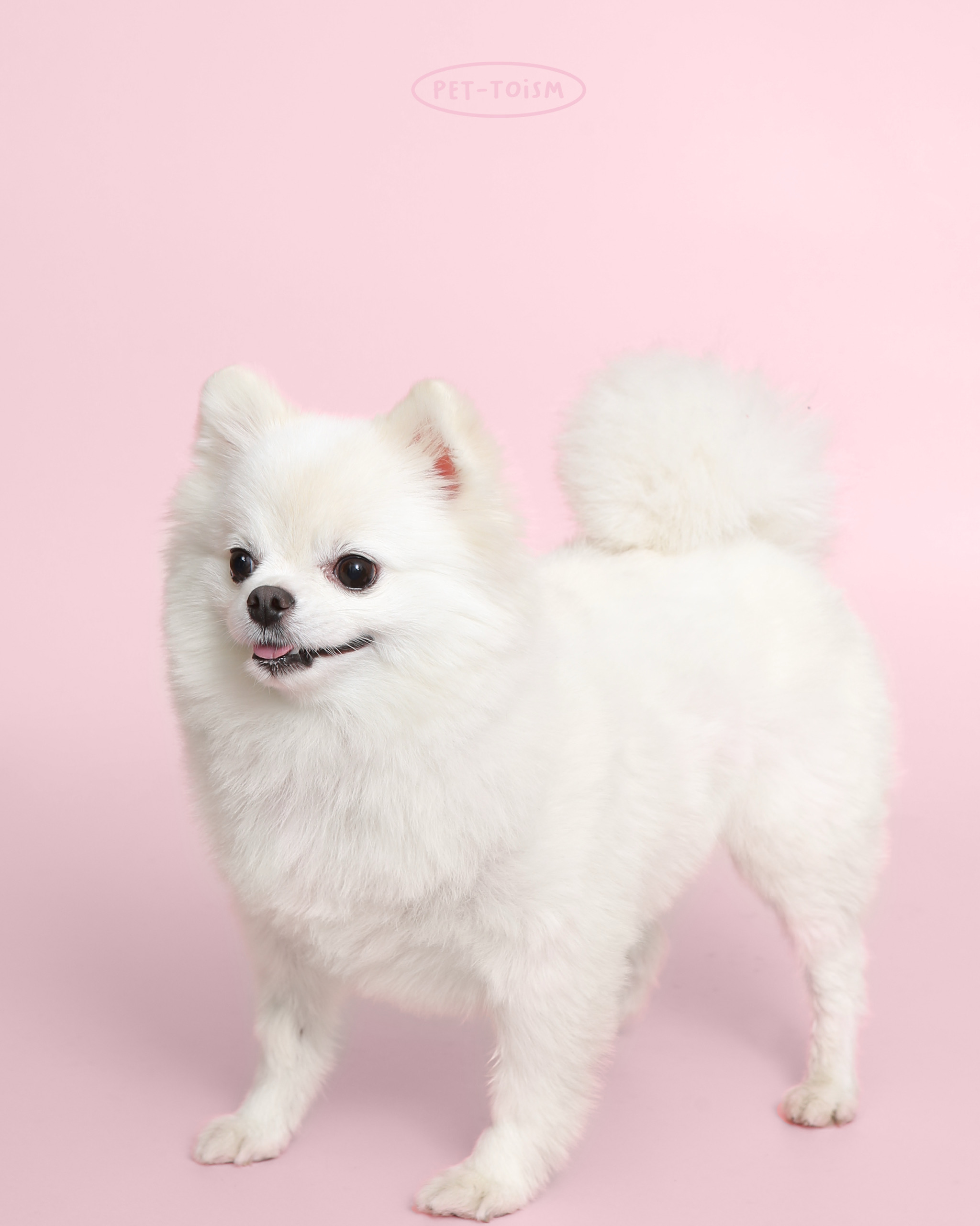 리뷰 사진 1