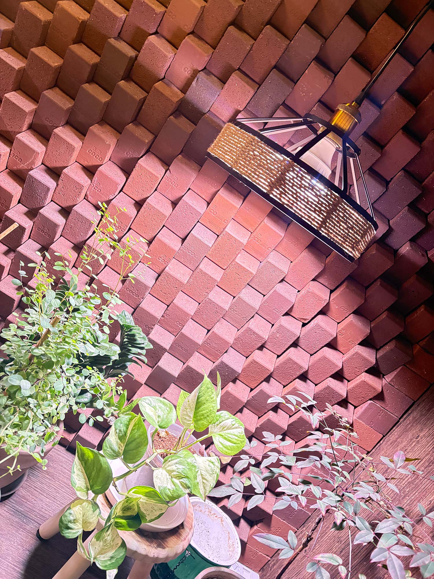 진타이테라피 (염창역) 매장 사진 6