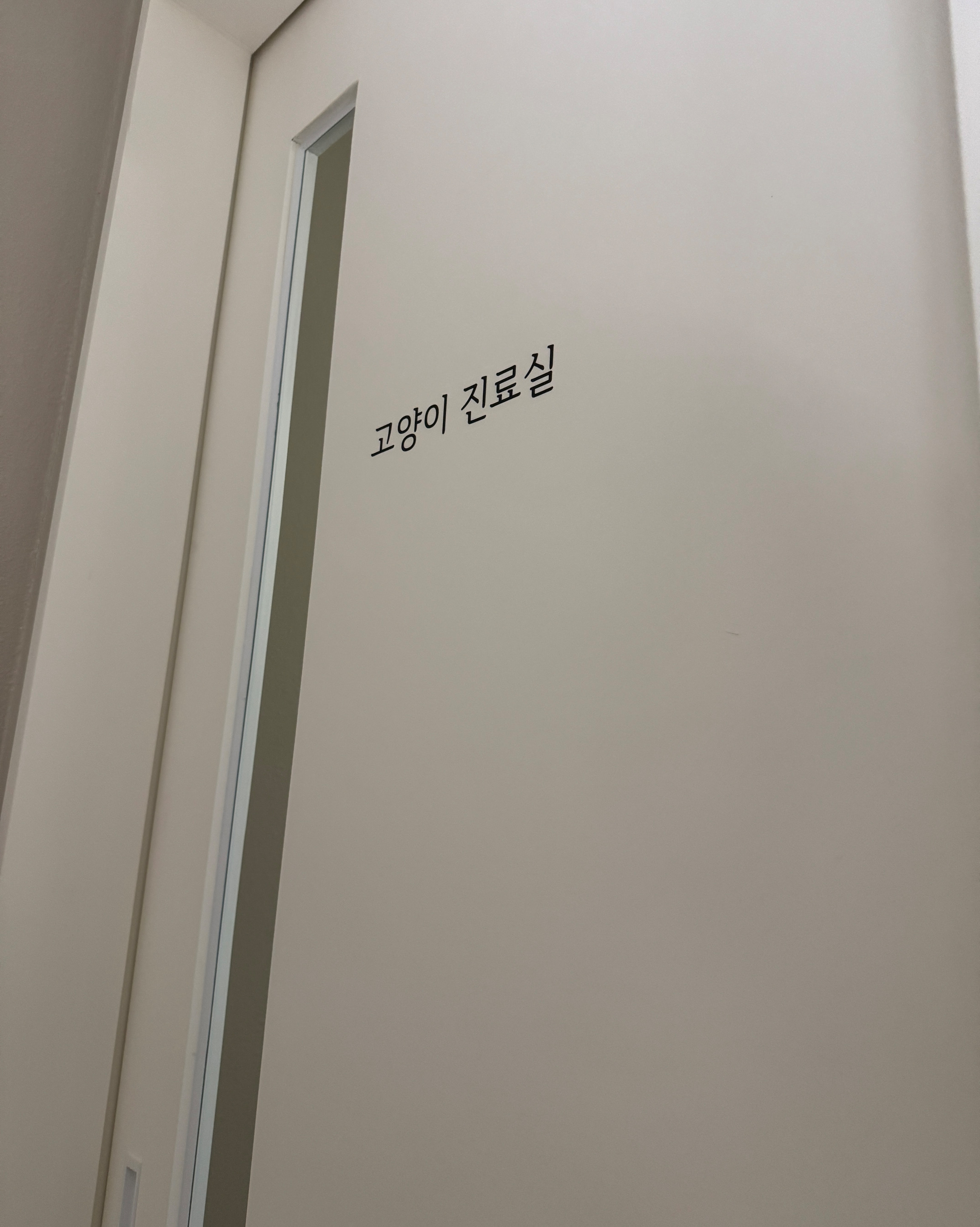 리뷰 사진 2