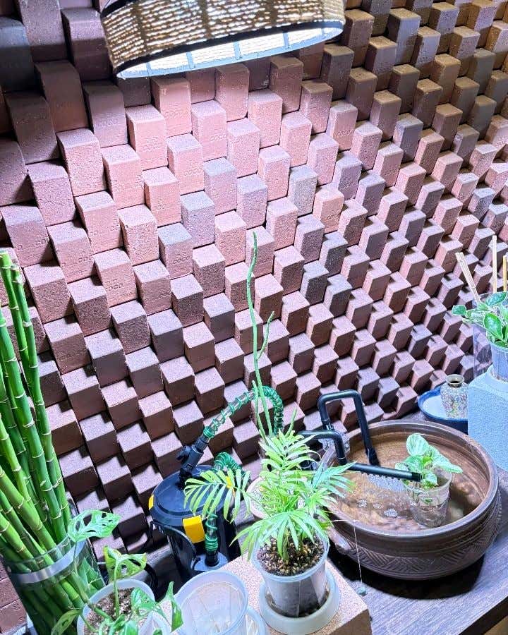 진타이테라피 (염창역) 매장 사진 7