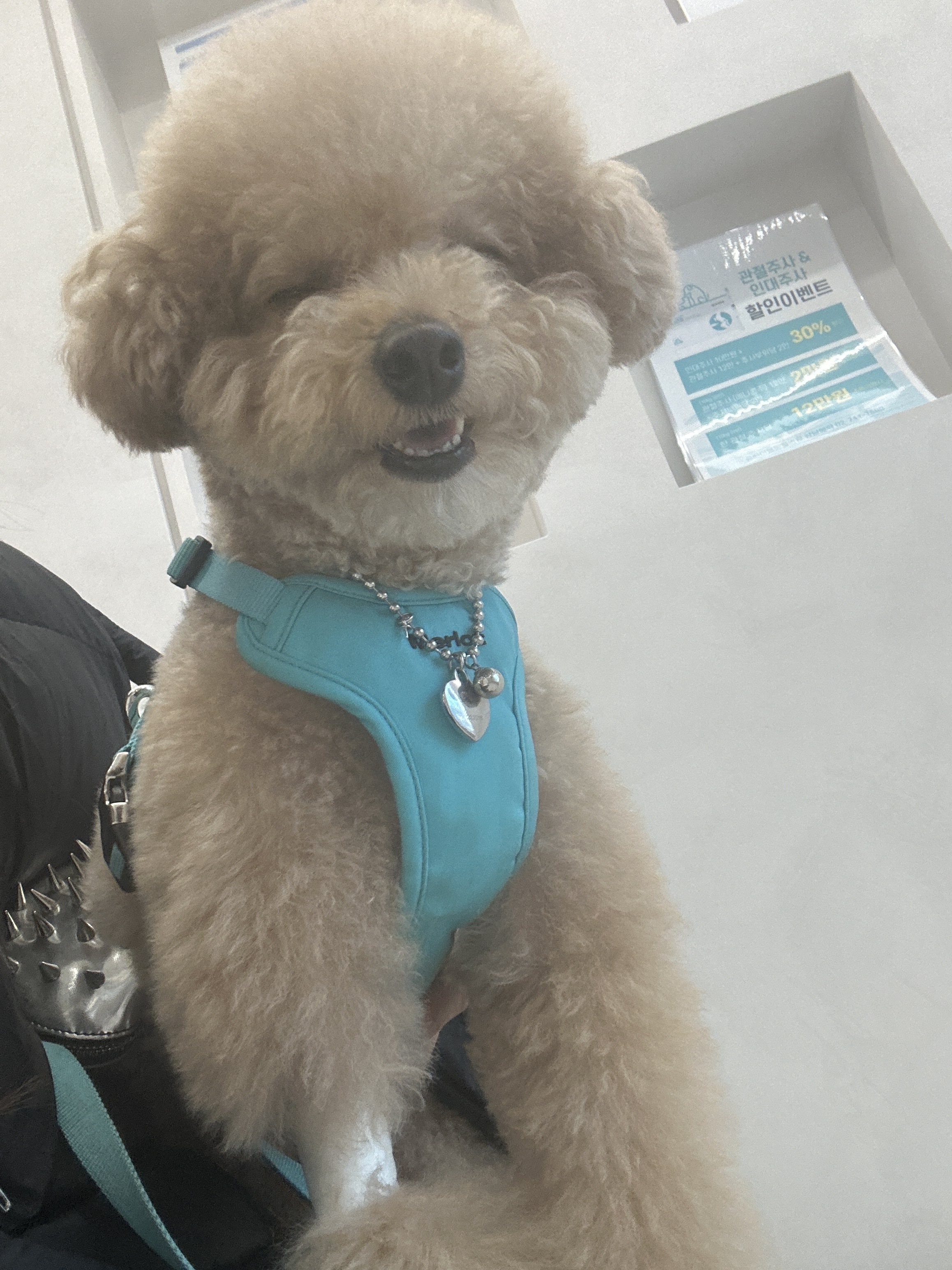 리뷰 사진 1