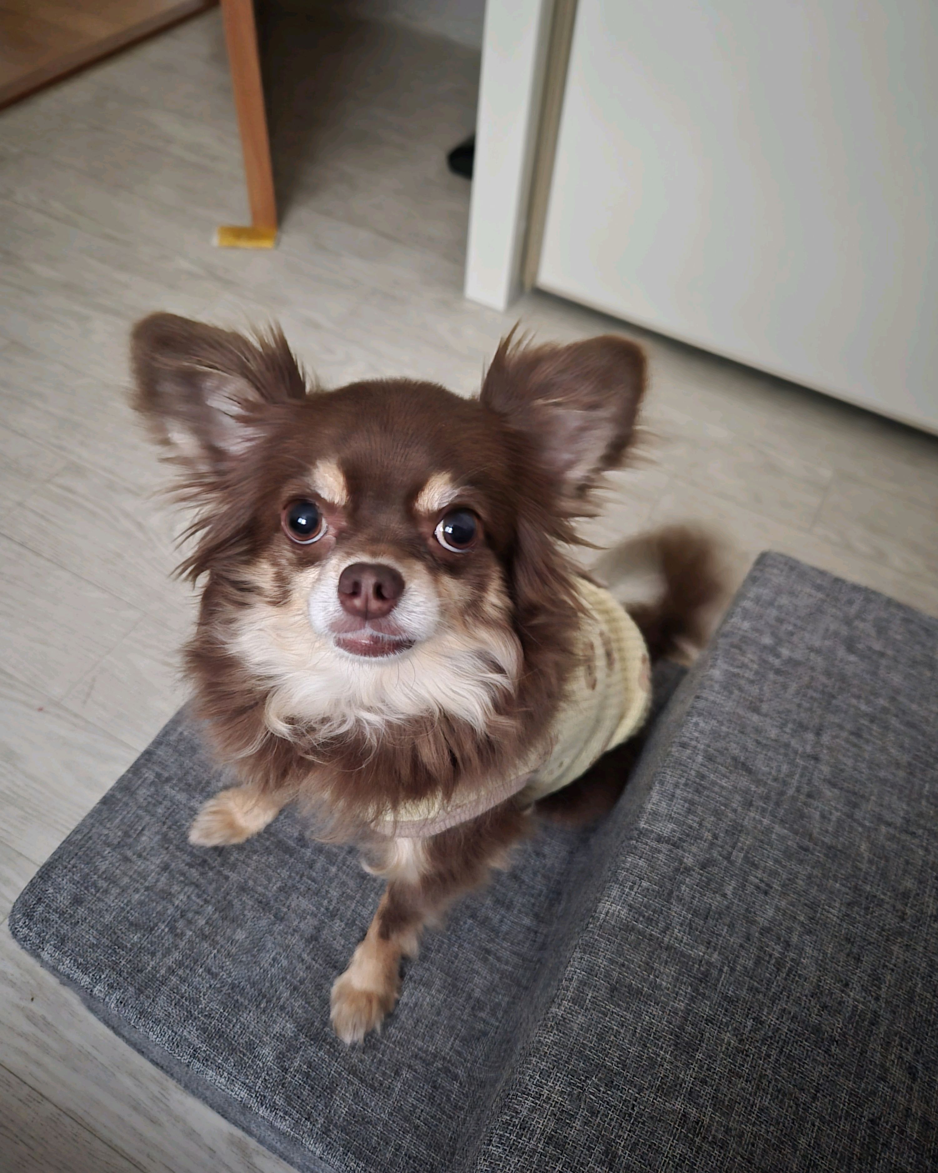 리뷰 사진 1