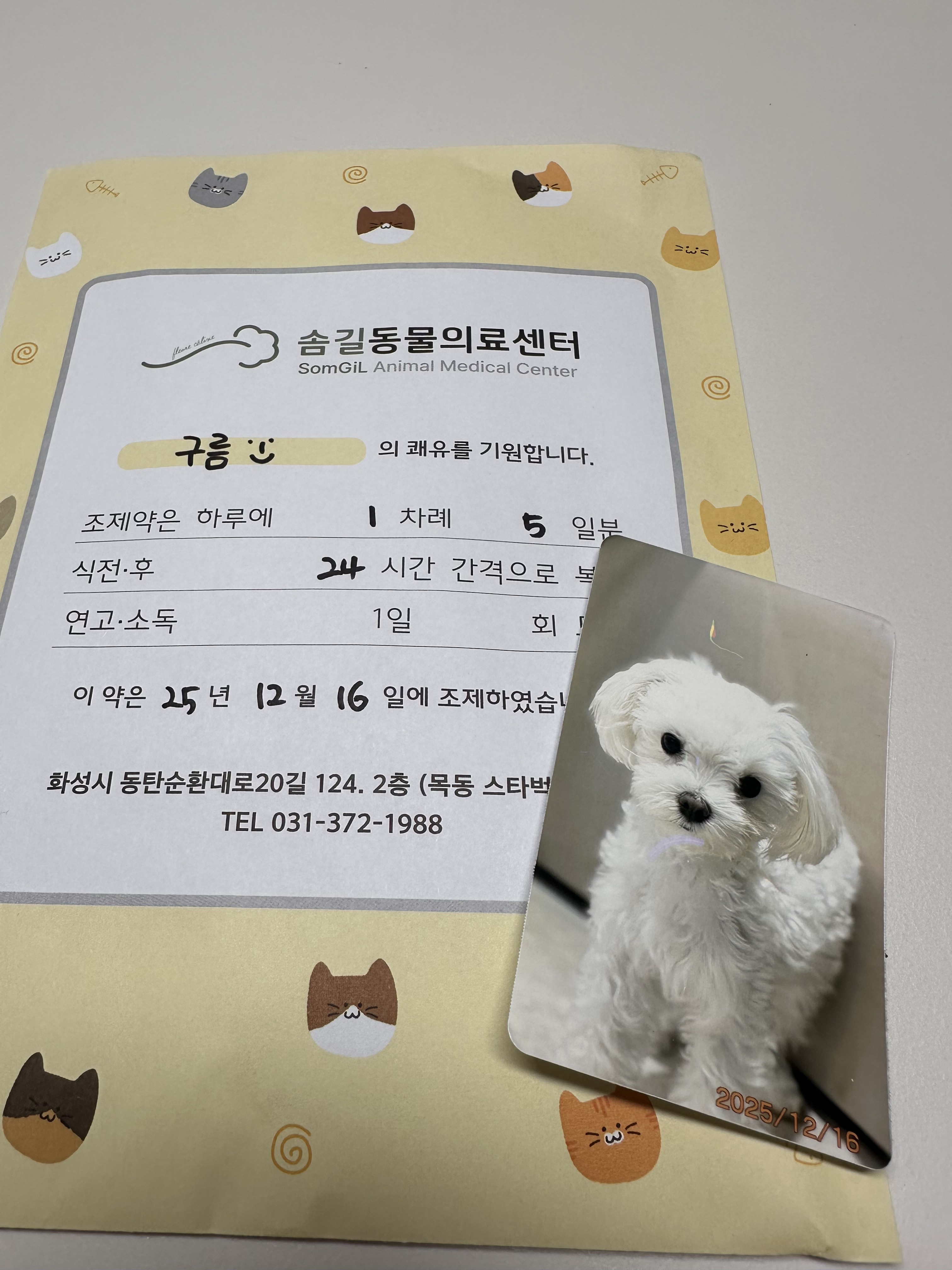 리뷰 사진 1