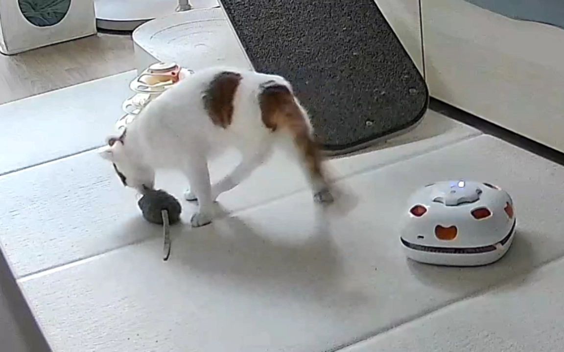 리뷰 사진 1