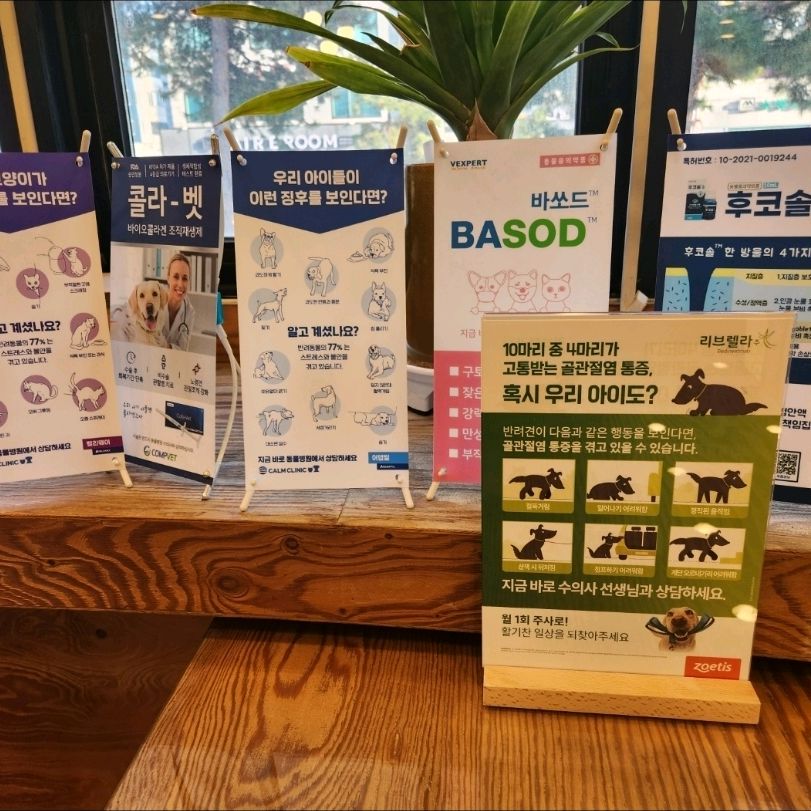 리뷰 사진 1