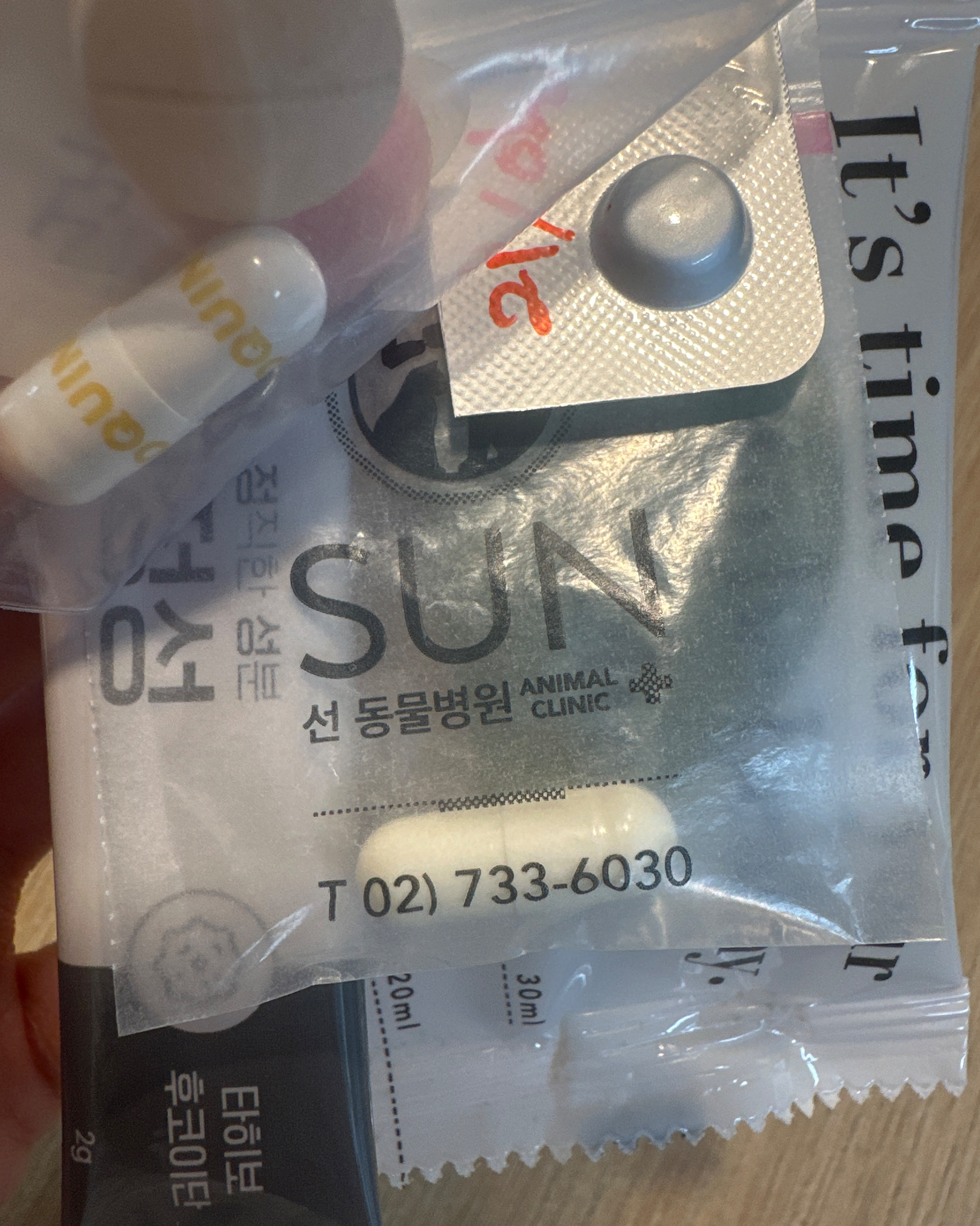 리뷰 사진 1