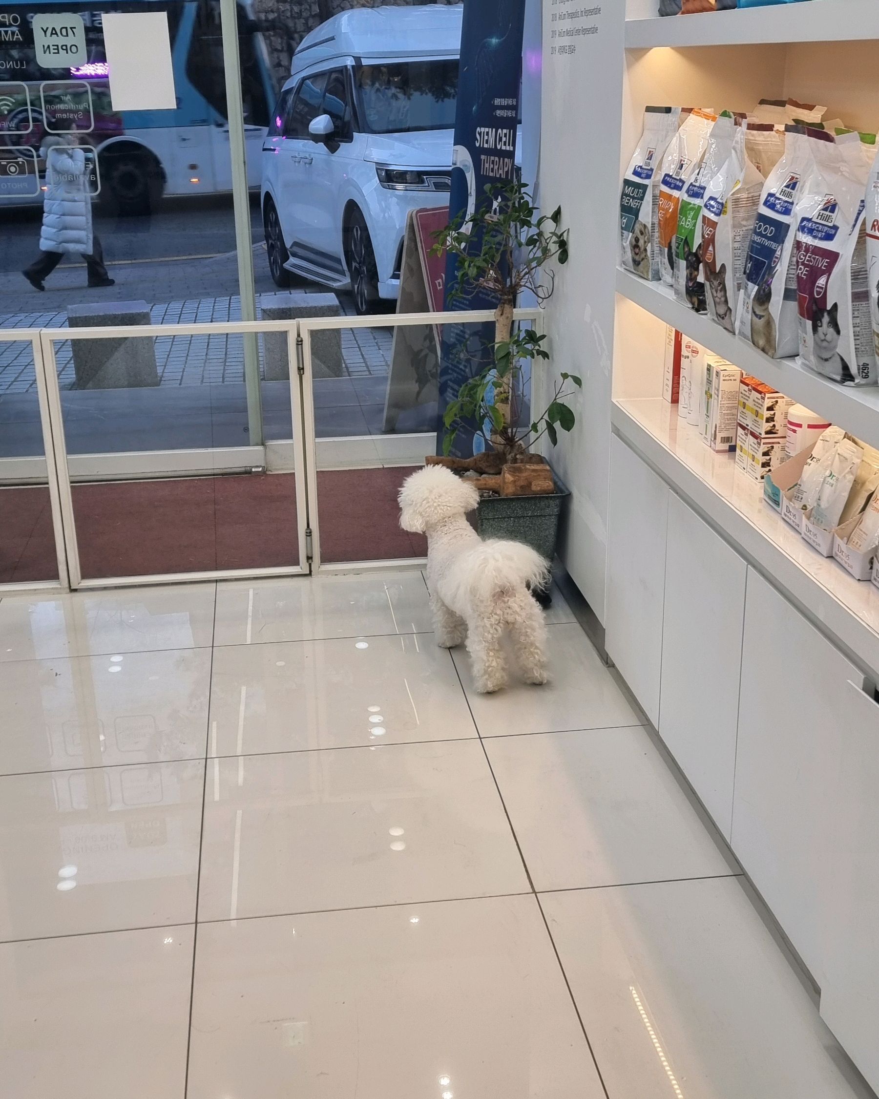 리뷰 사진 1