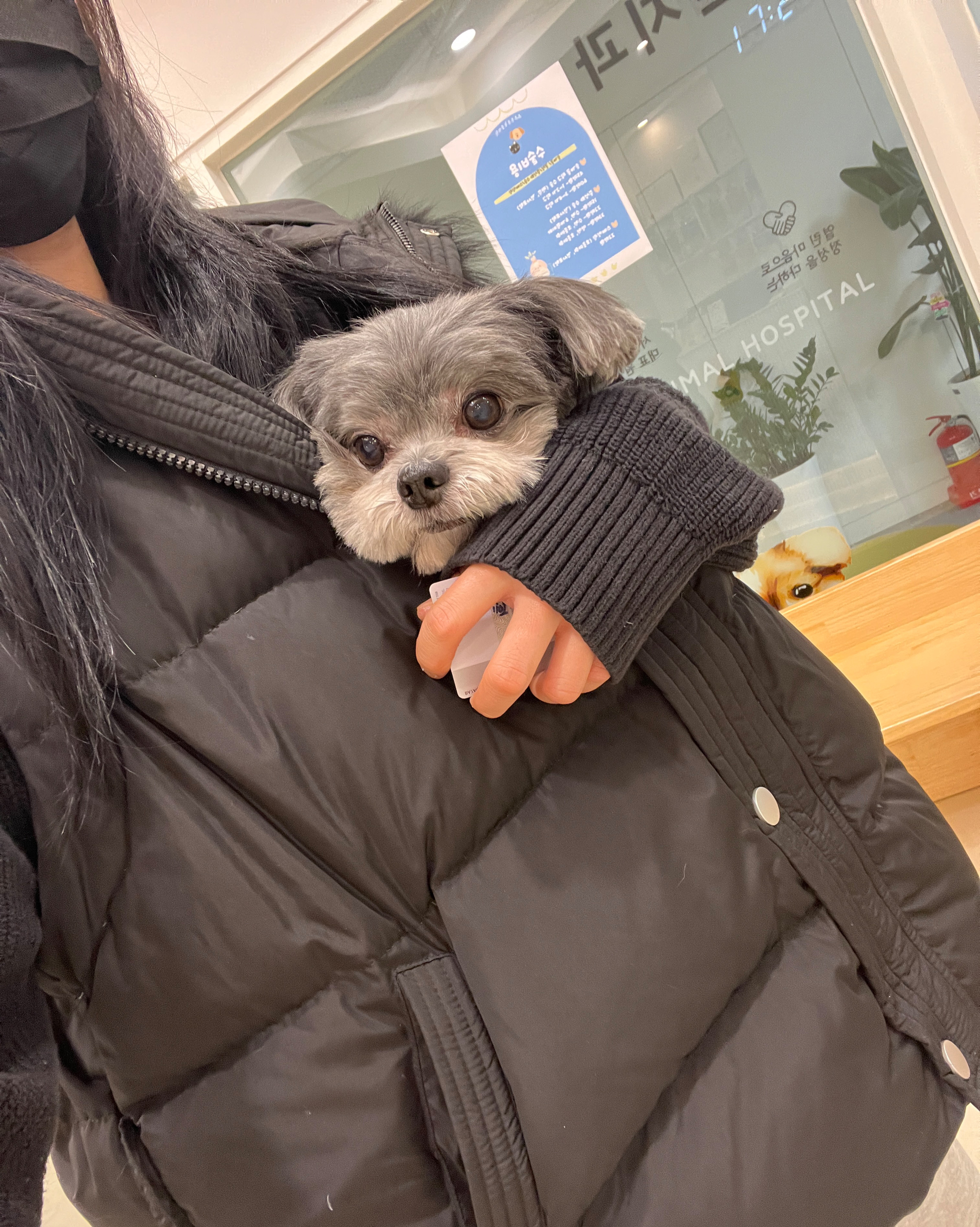 리뷰 사진 1