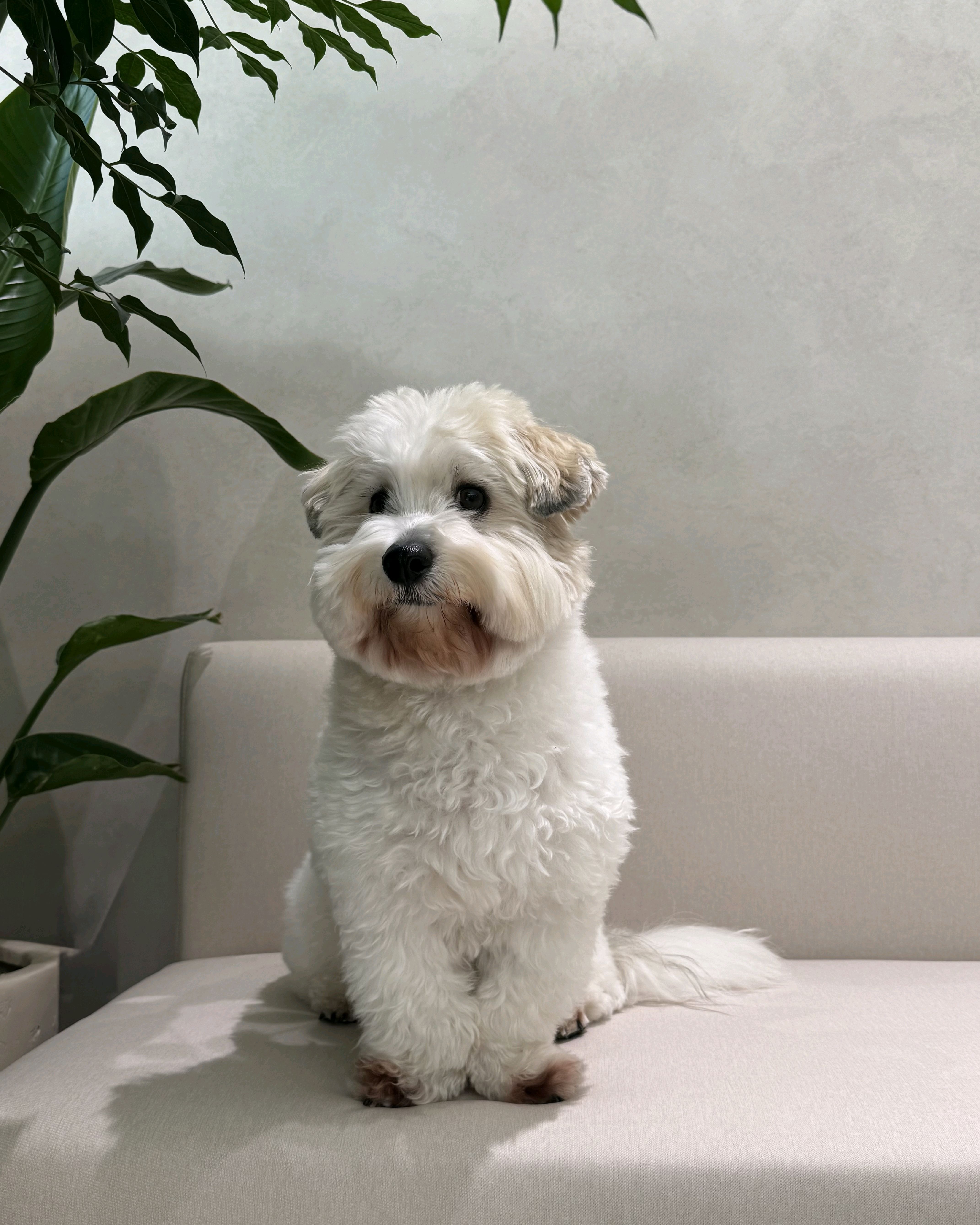 리뷰 사진 1