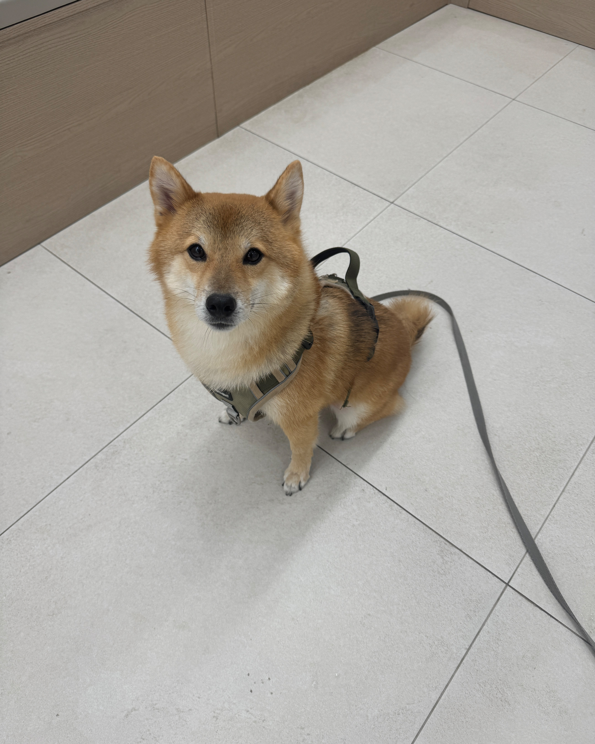 리뷰 사진 1