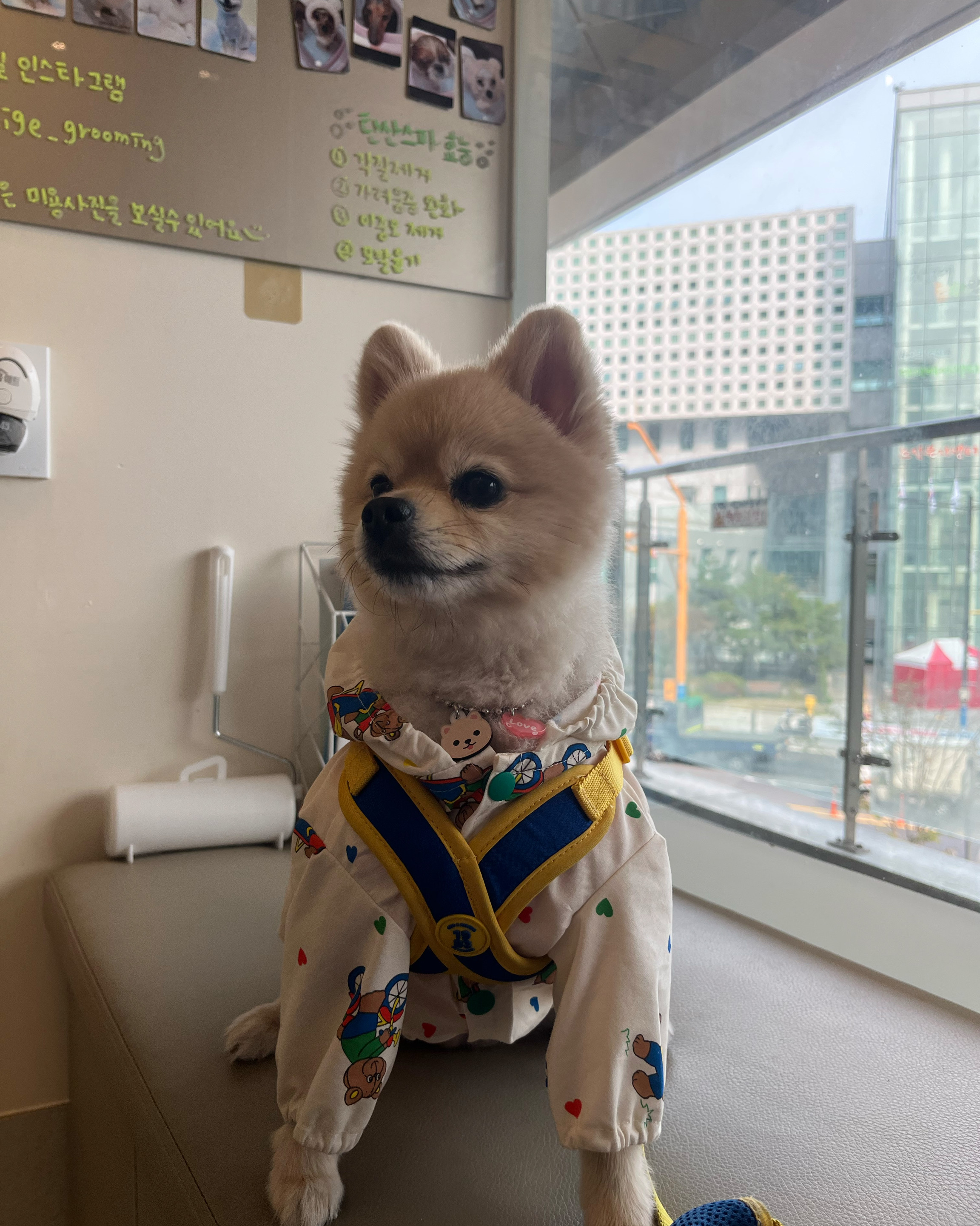 리뷰 사진 1