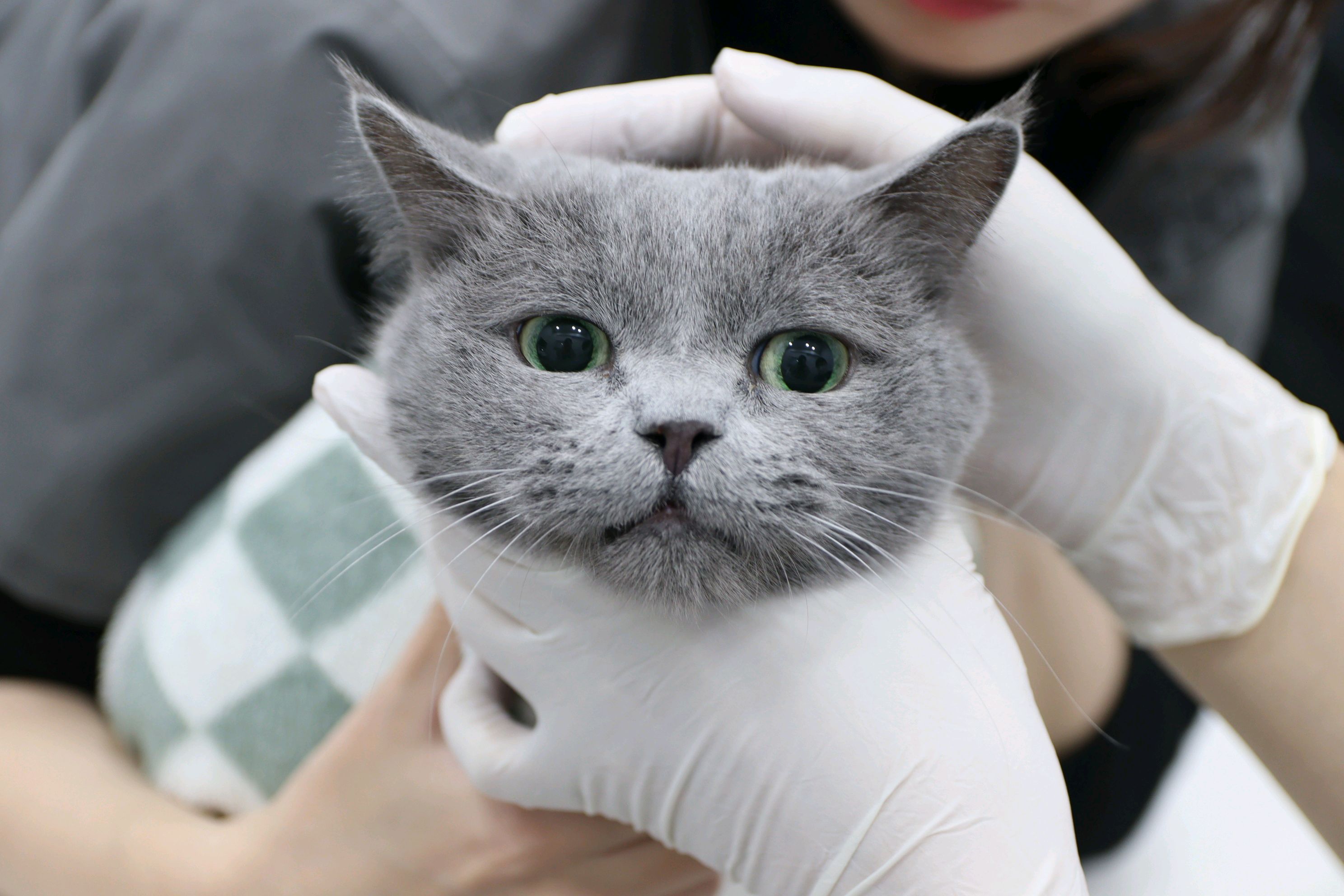 리뷰 사진 1