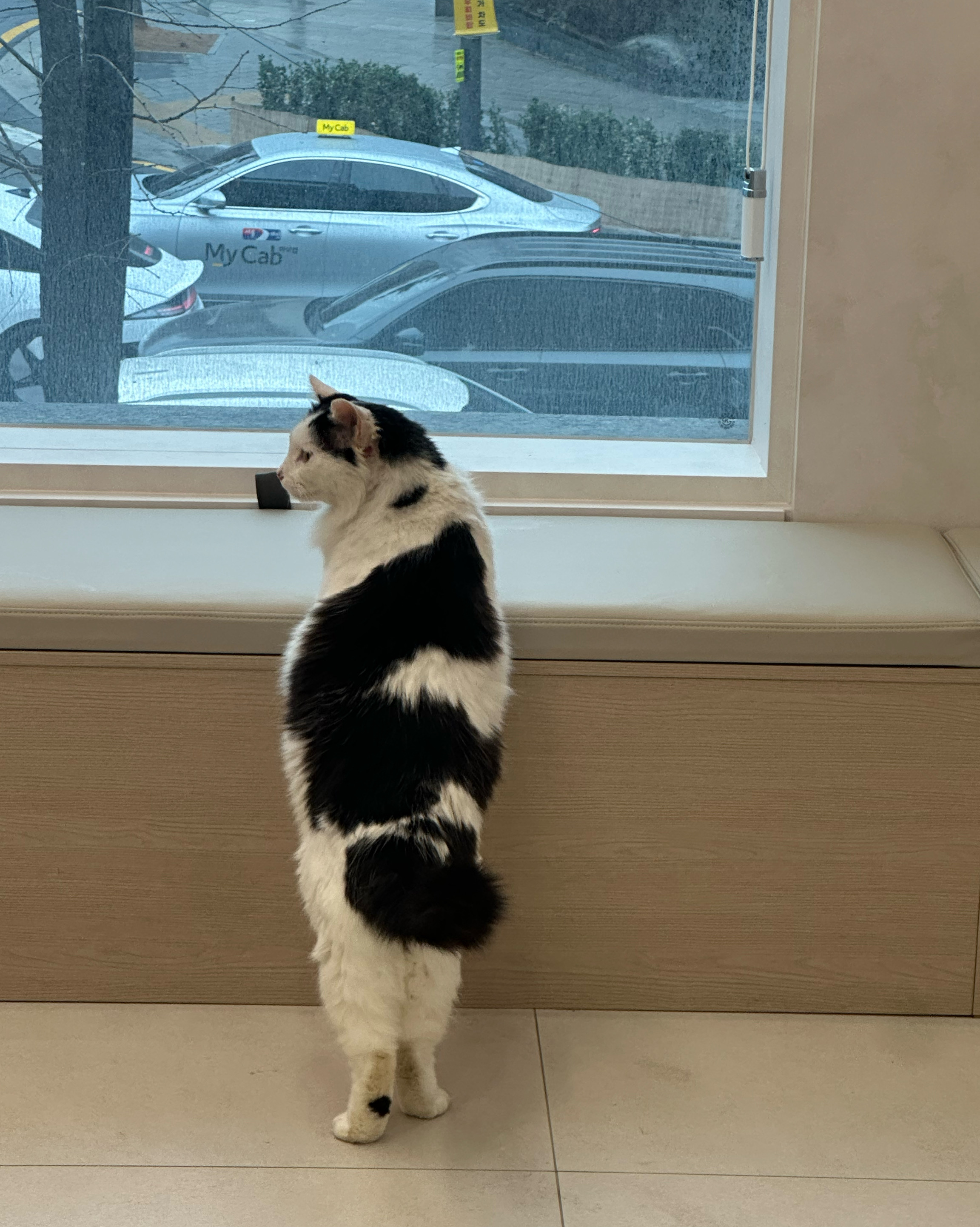 리뷰 사진 3