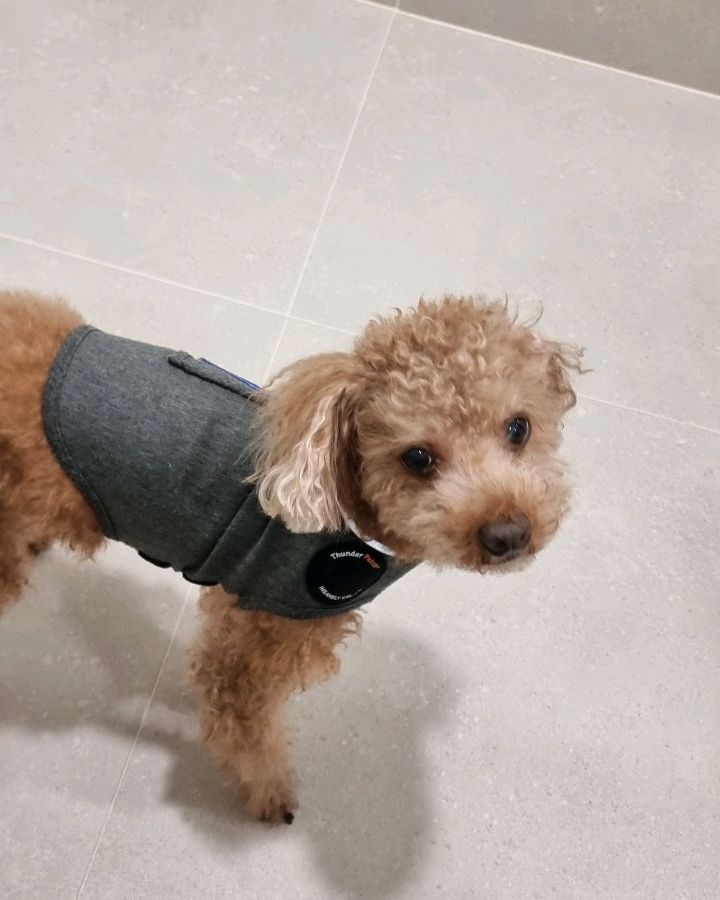 리뷰 사진 1