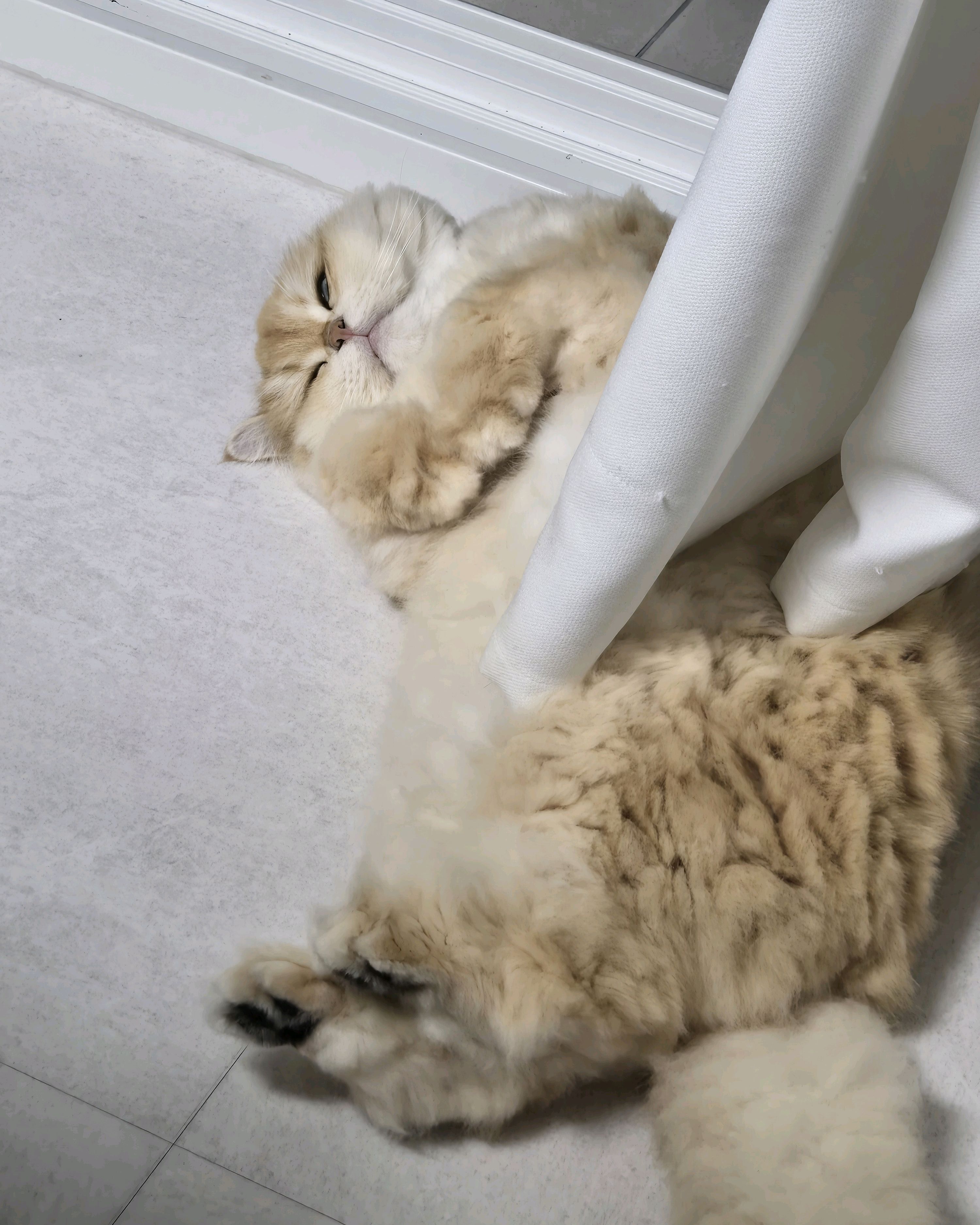 리뷰 사진 2