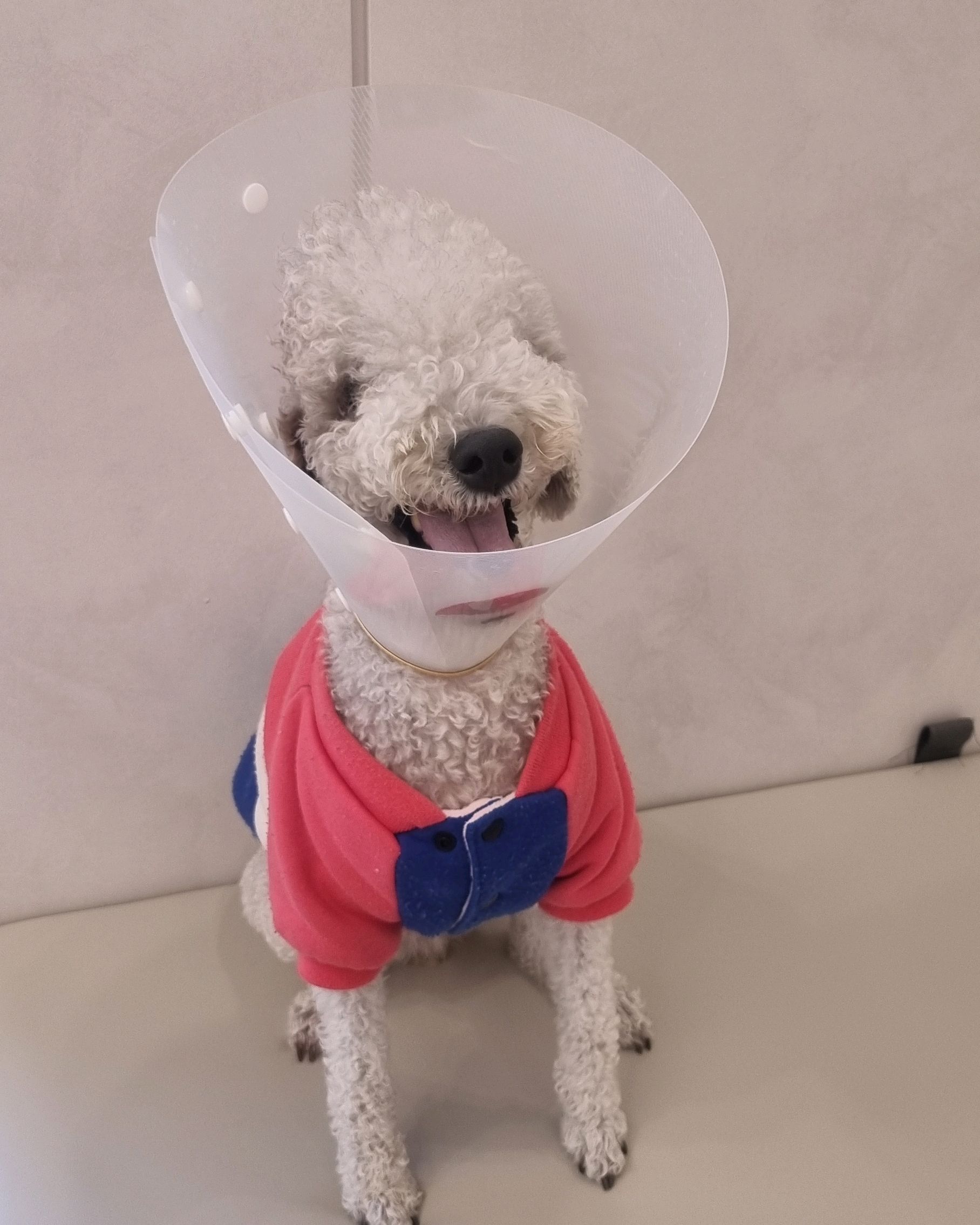 리뷰 사진 1