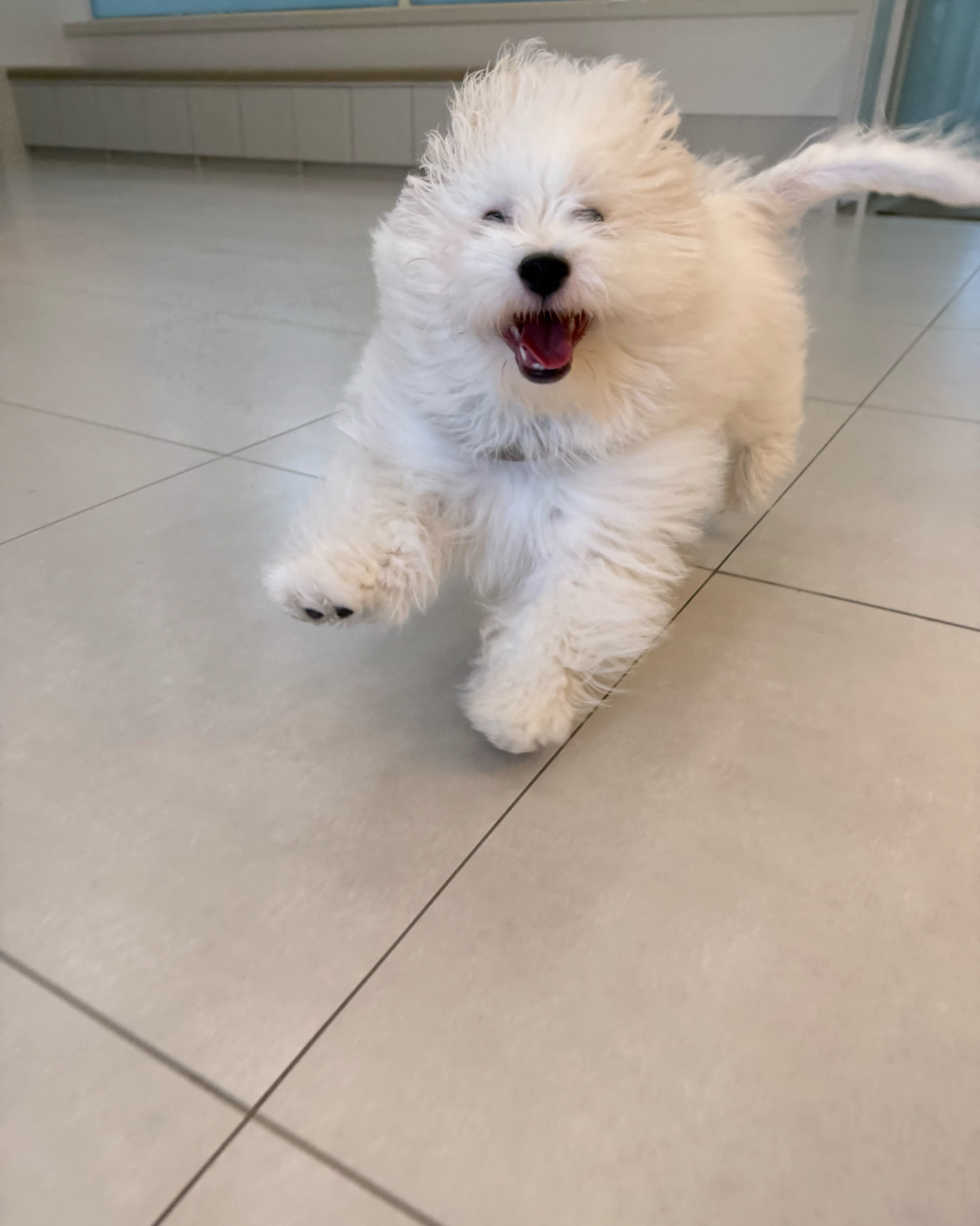 리뷰 사진 1