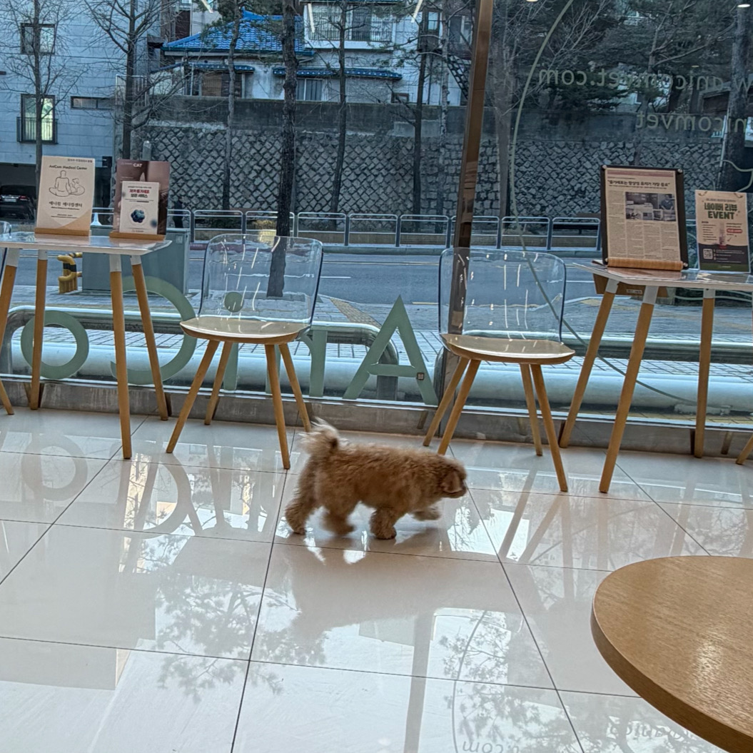 리뷰 사진 2