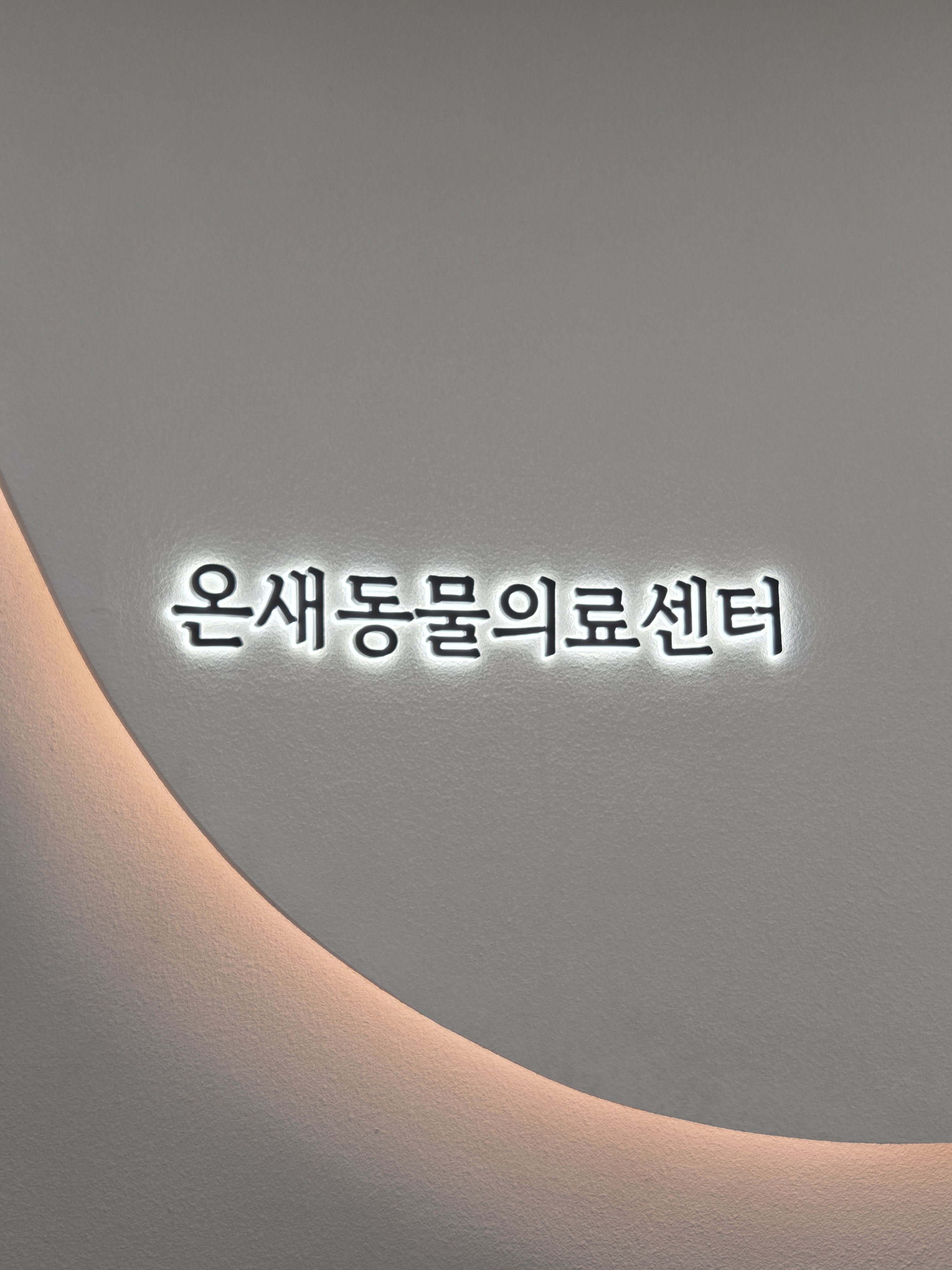 리뷰 사진 1