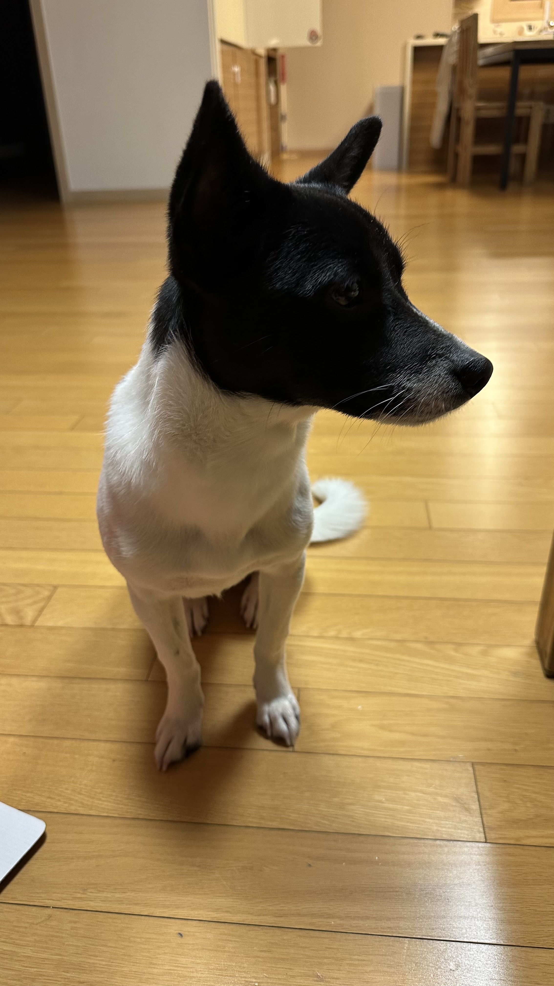 리뷰 사진 1