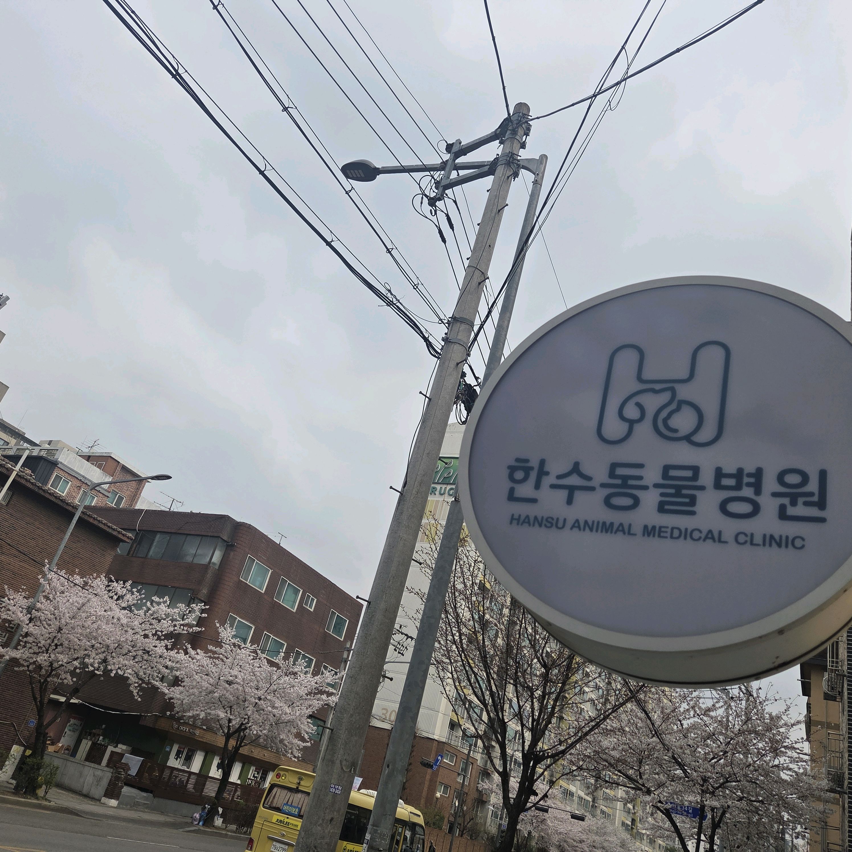 리뷰 사진 2