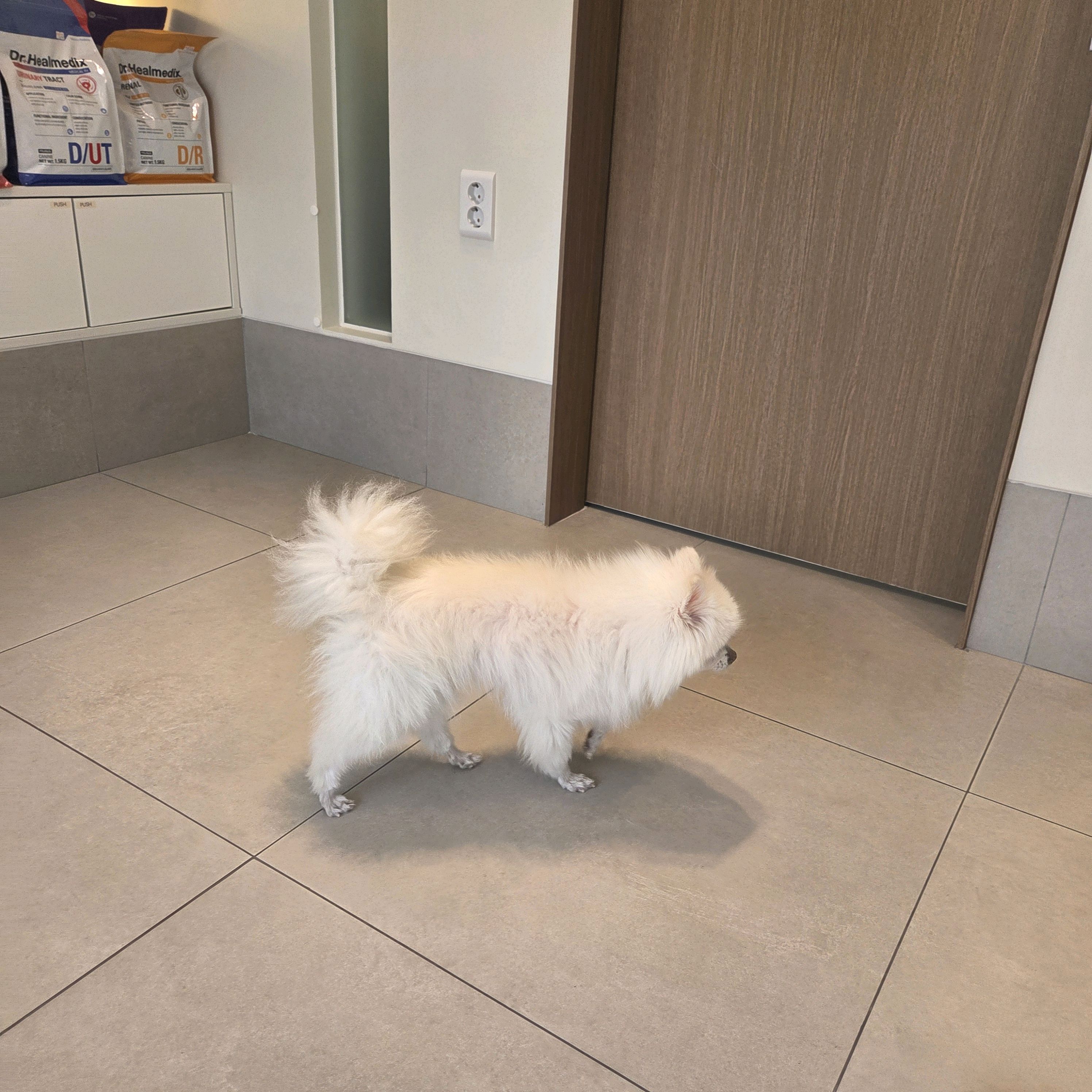 리뷰 사진 3