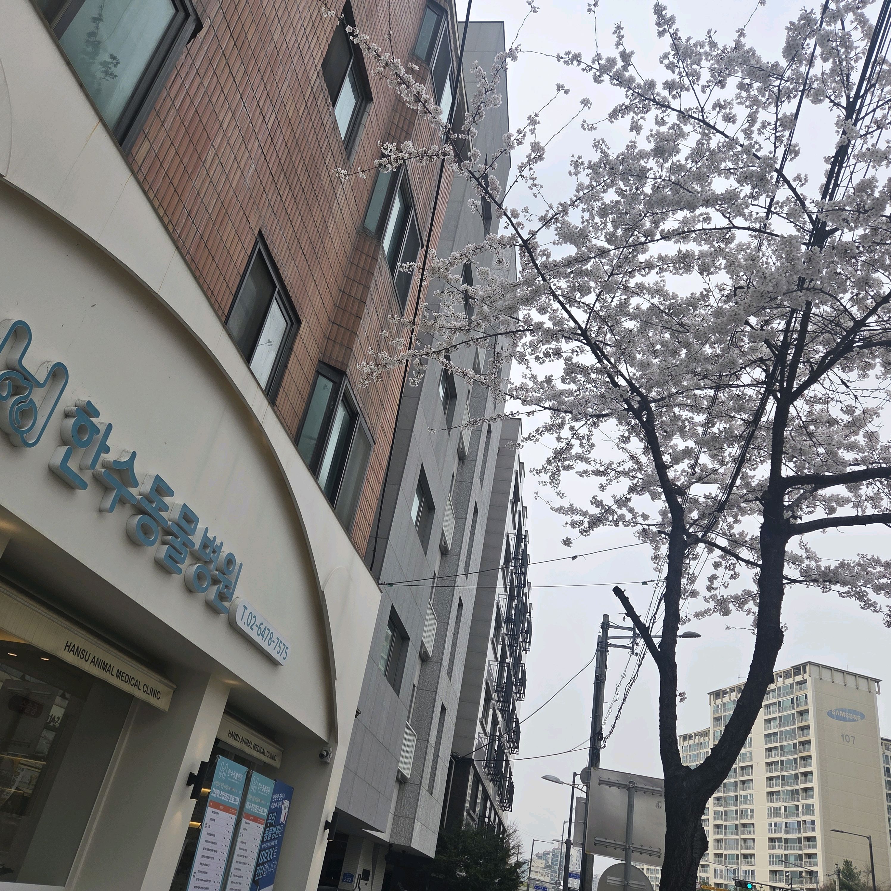리뷰 사진 1