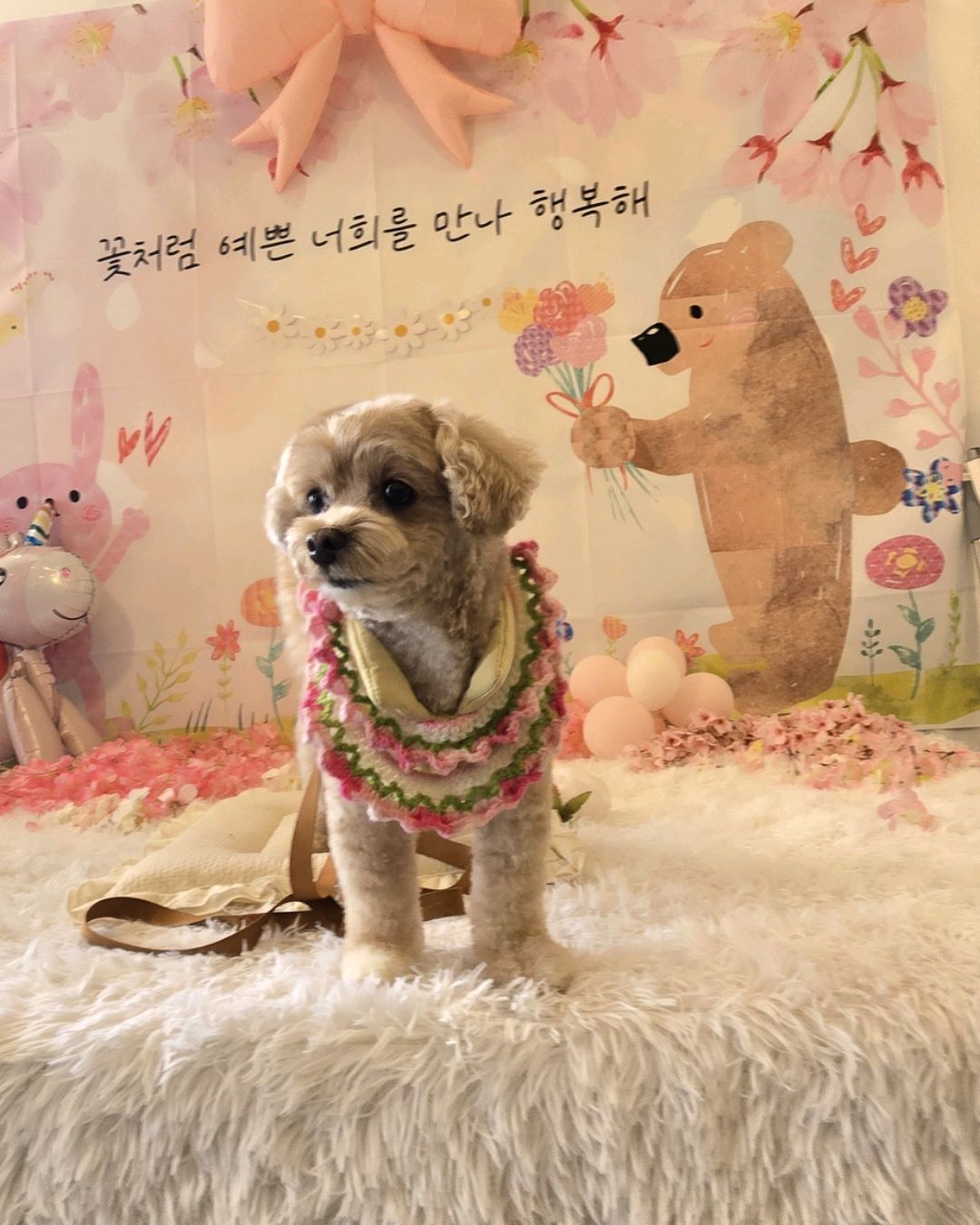 리뷰 사진 1