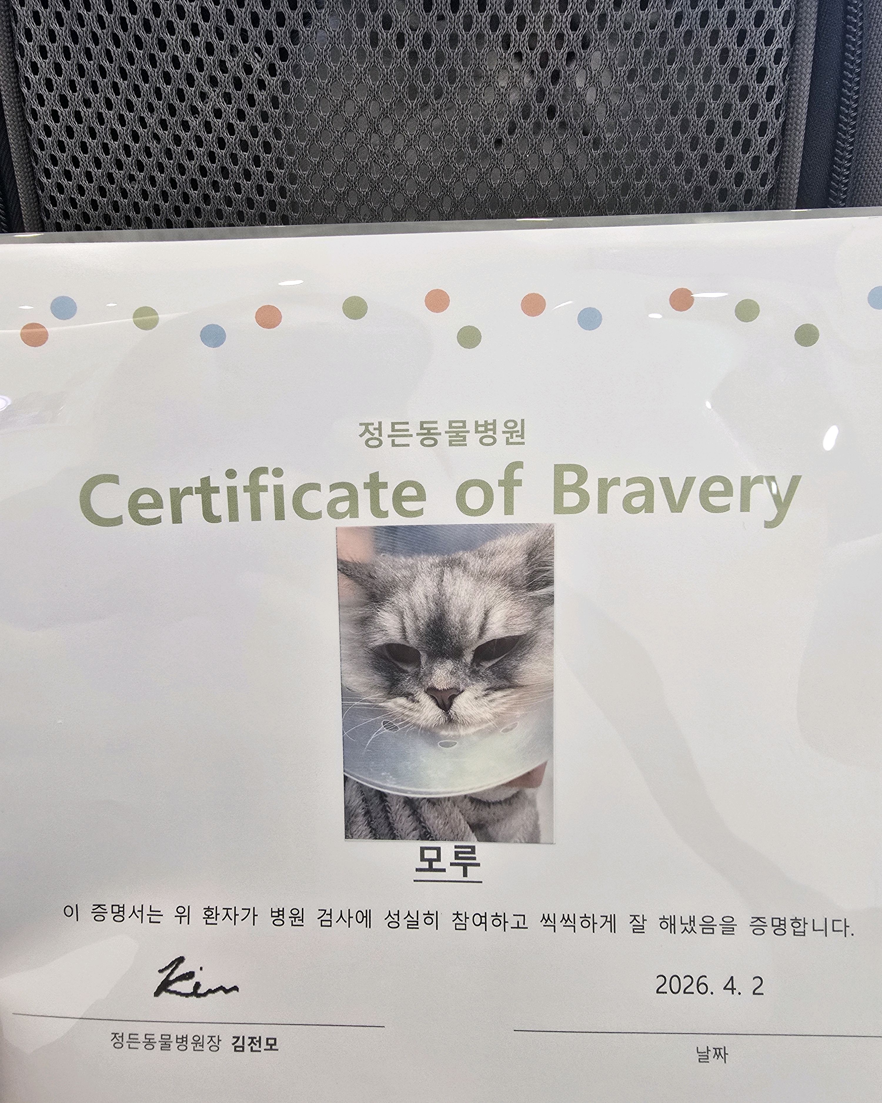 리뷰 사진 1