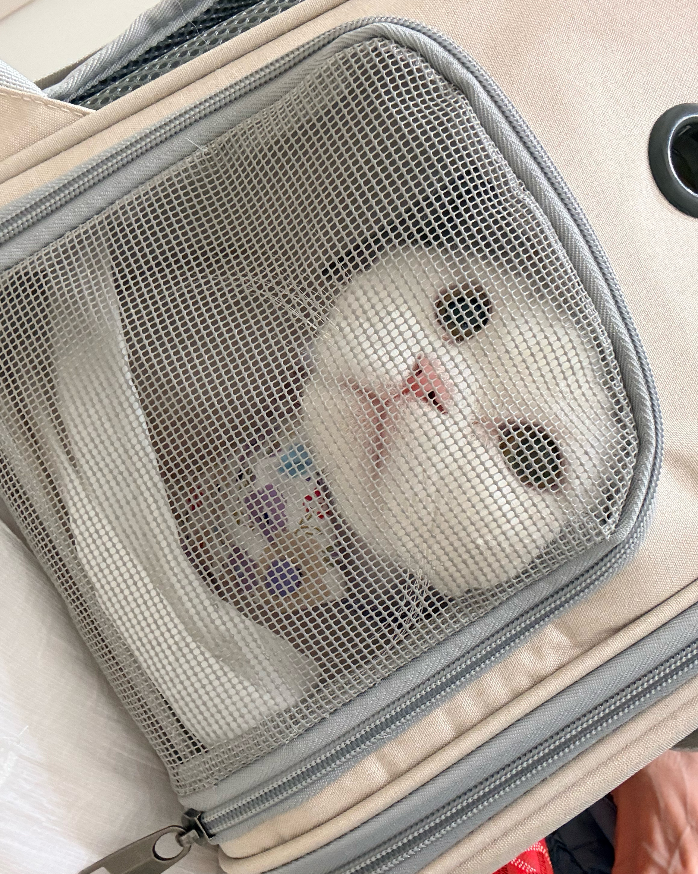 리뷰 사진 7