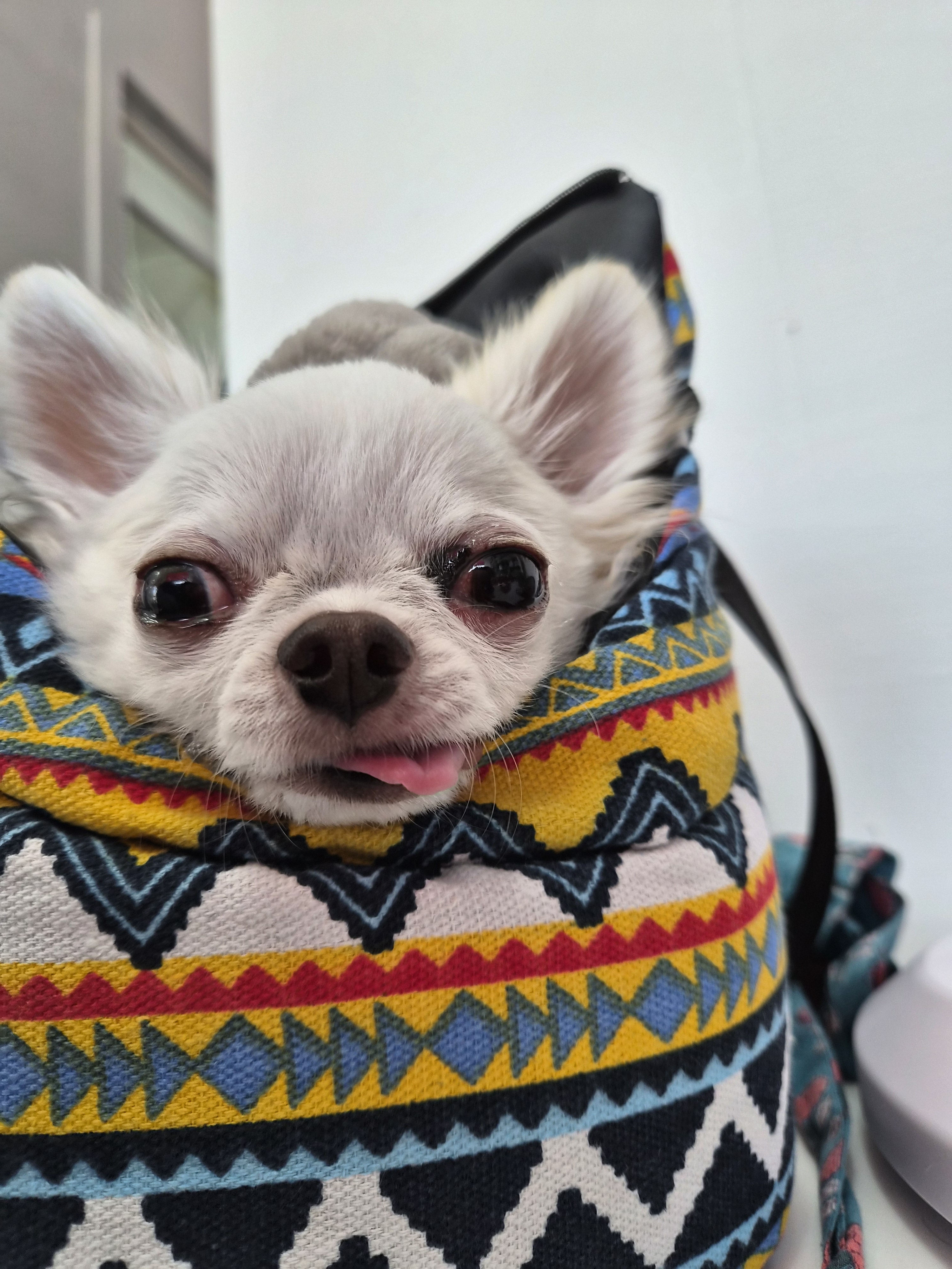 리뷰 사진 1