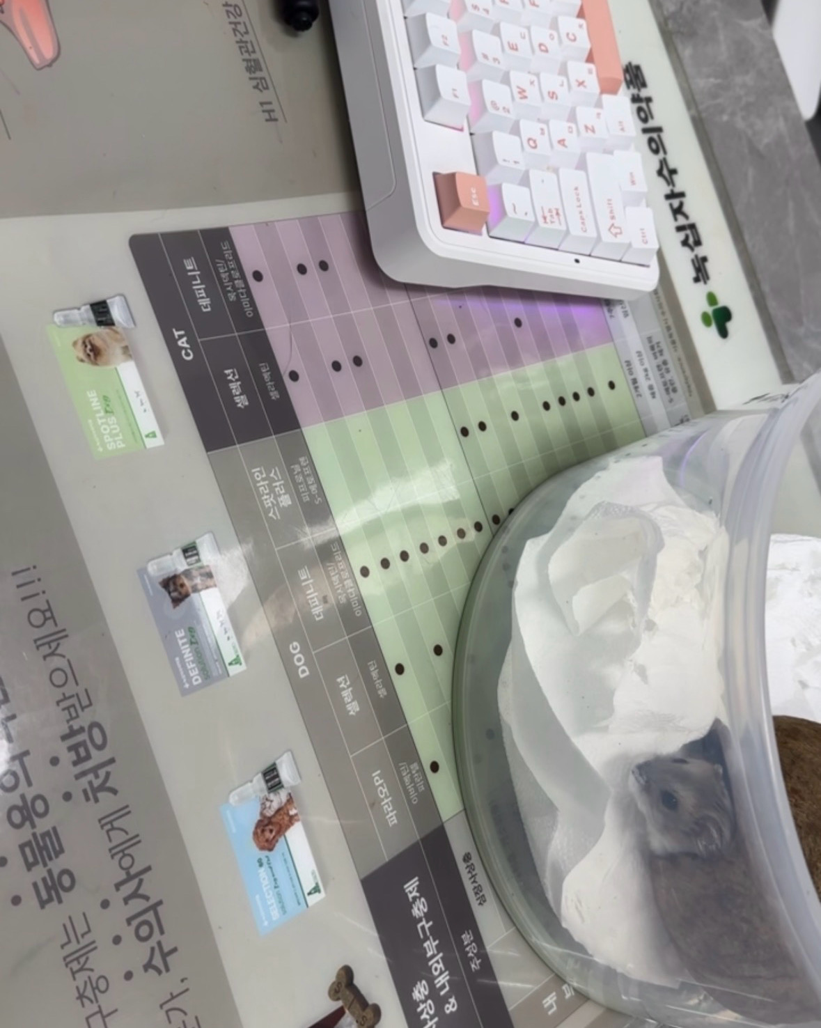 리뷰 사진 2
