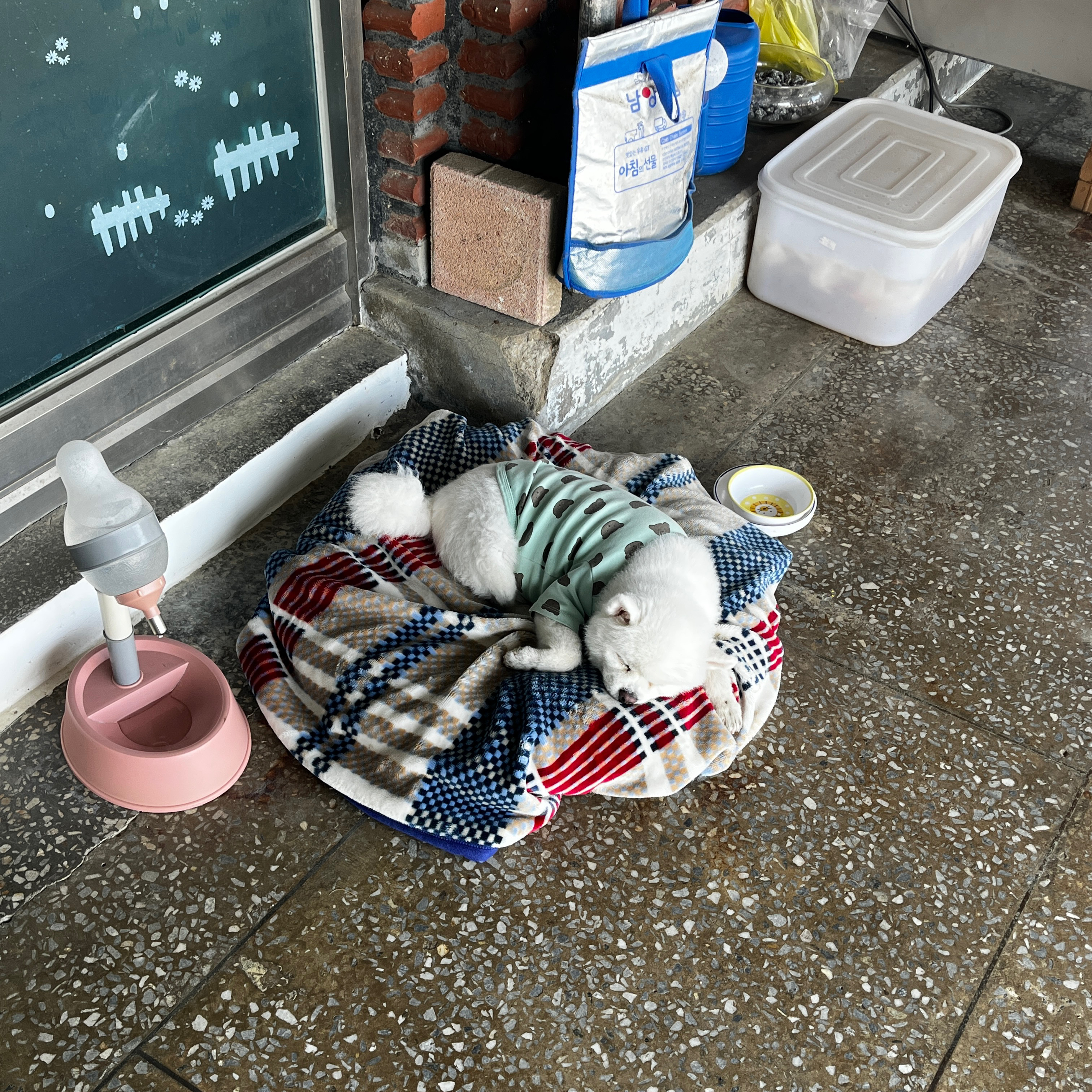 식당 내부 모습, 테이블에 놓인 음식과 컵