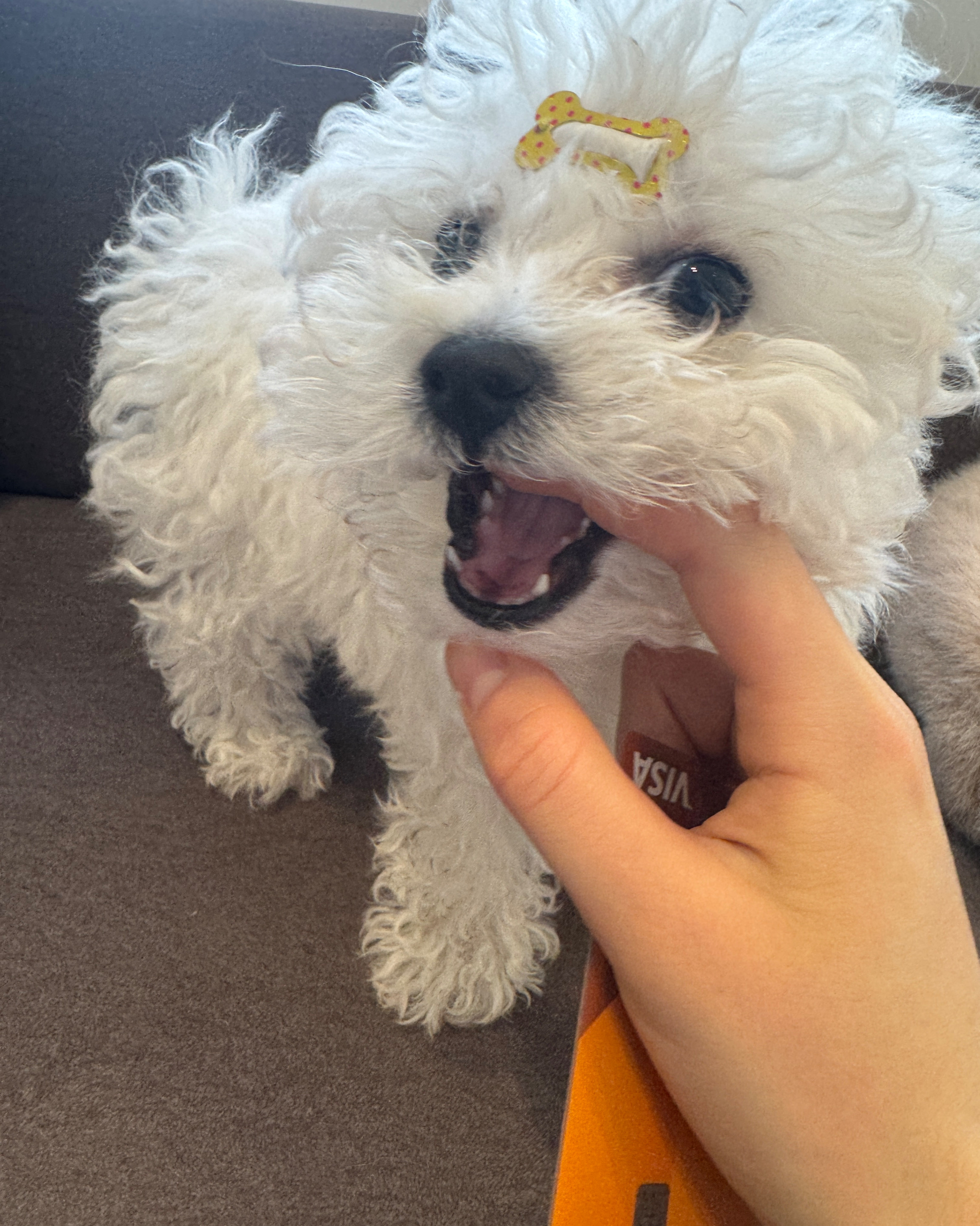 리뷰 사진 1