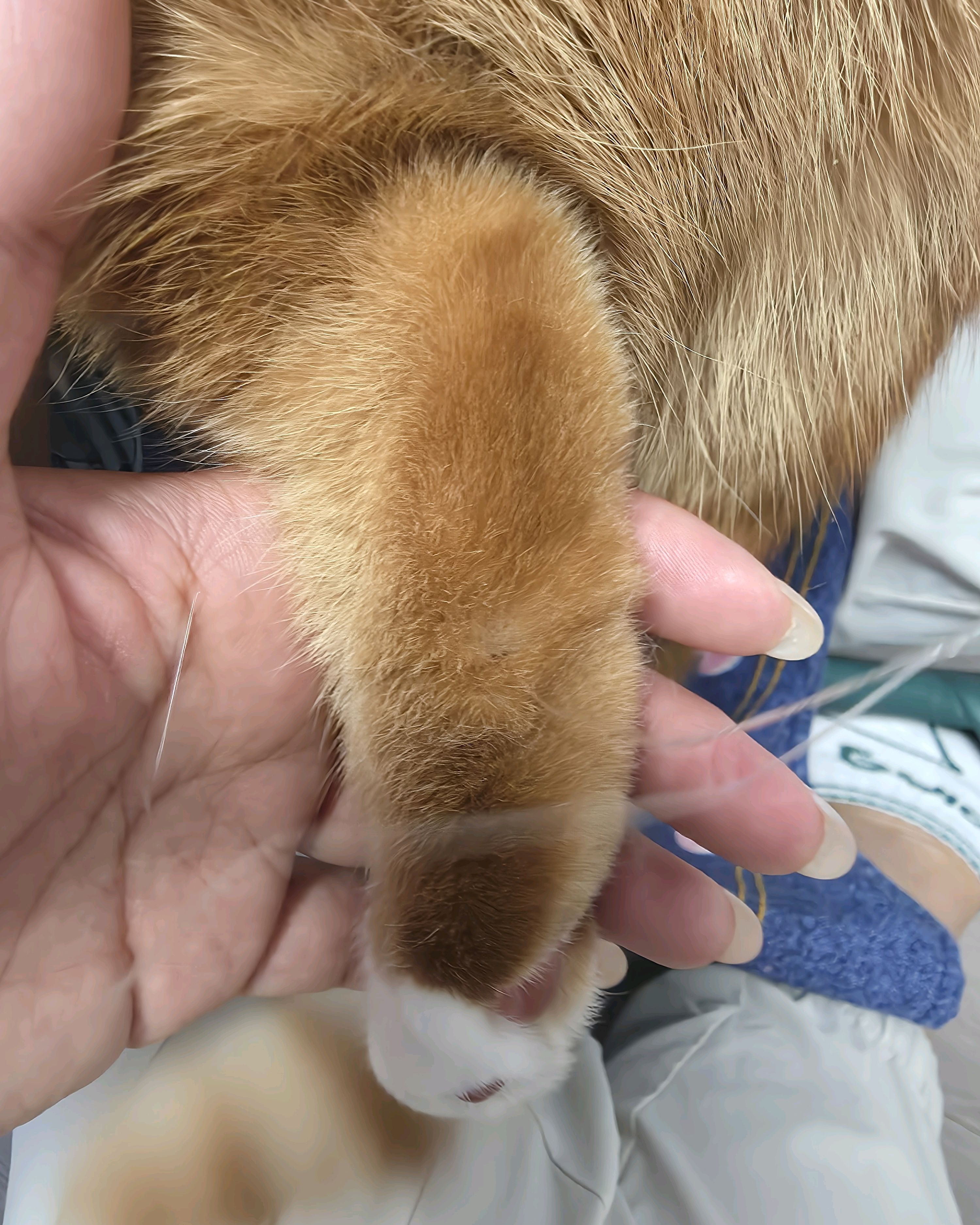 리뷰 사진 1