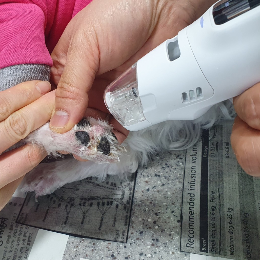 리뷰 사진 1