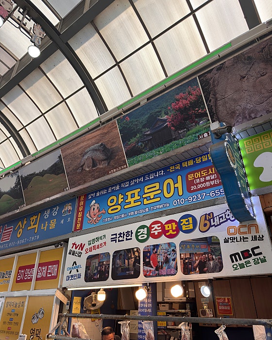 양포 문어 매장 분위기