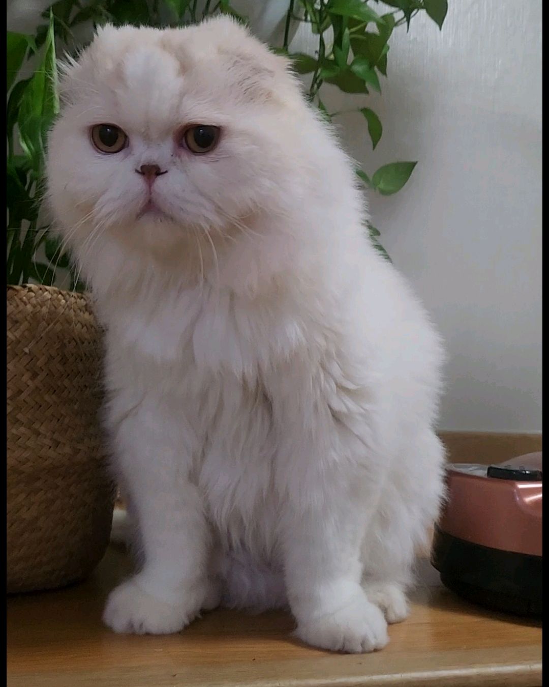 리뷰 사진 1