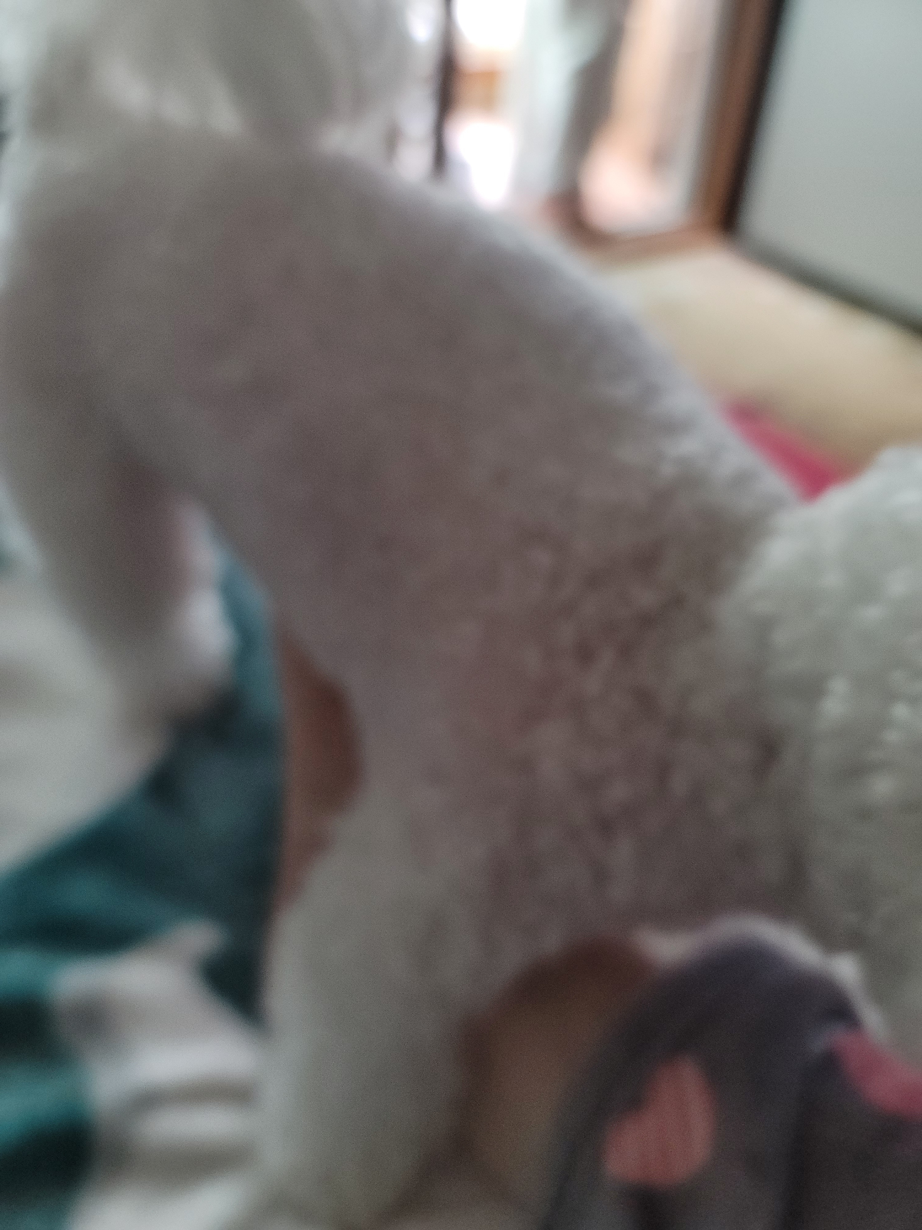 리뷰 사진 1