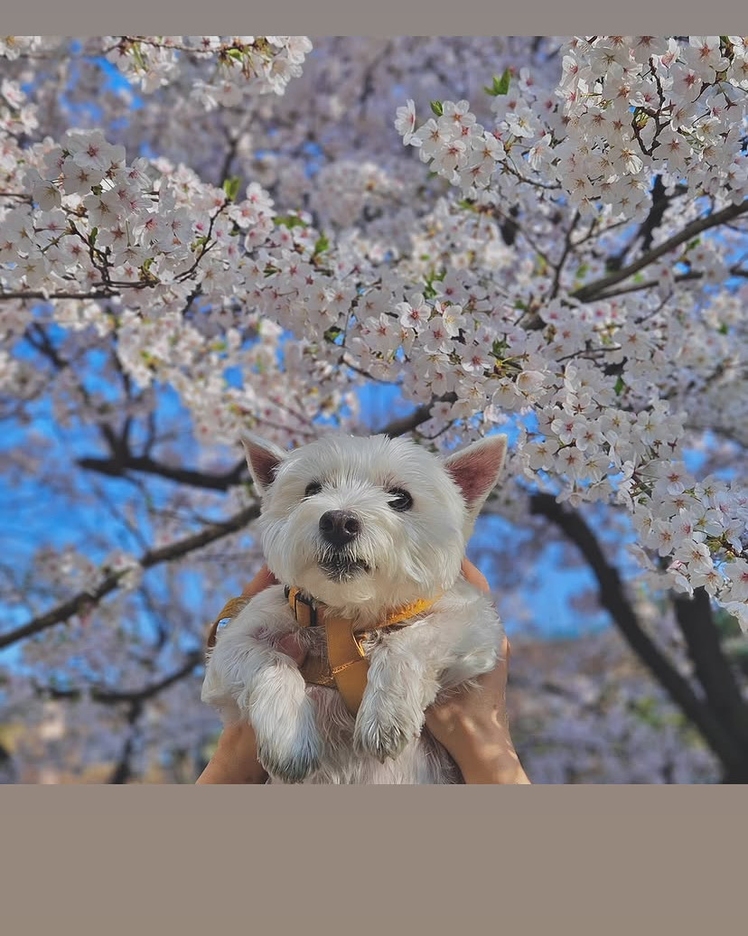 리뷰 사진 1