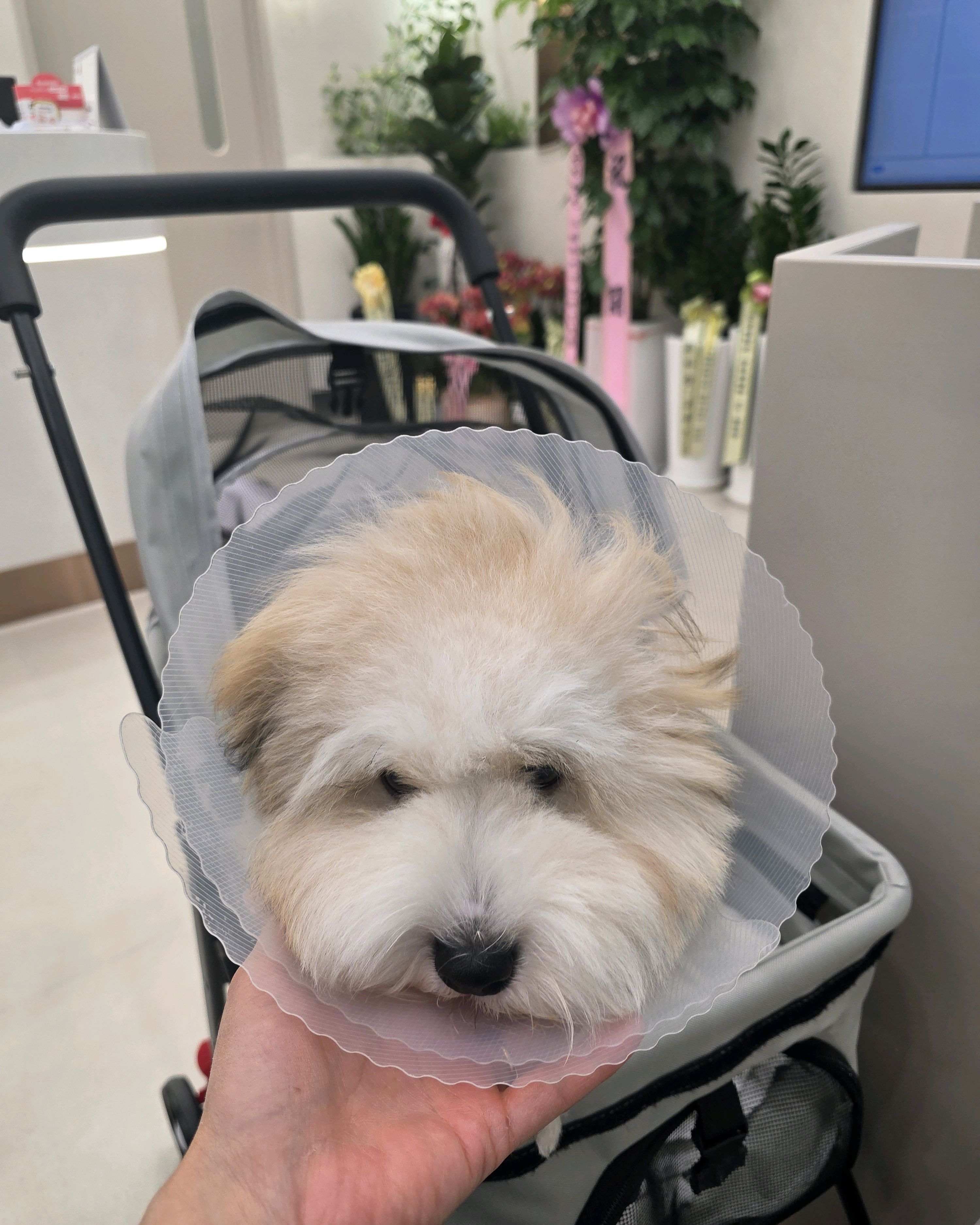 리뷰 사진 5